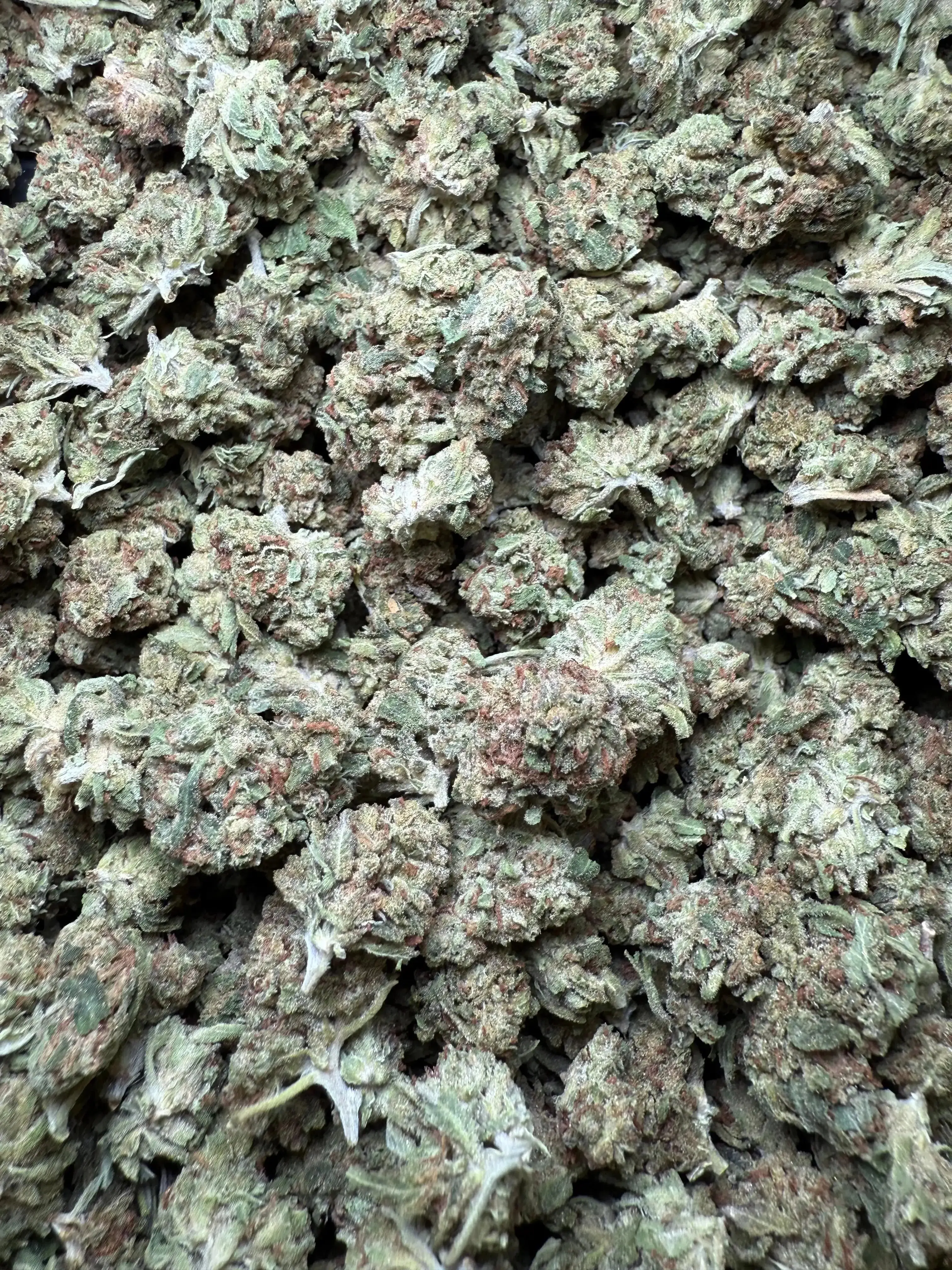 1 Pound Black Bananas THCA (Small) - Image 2