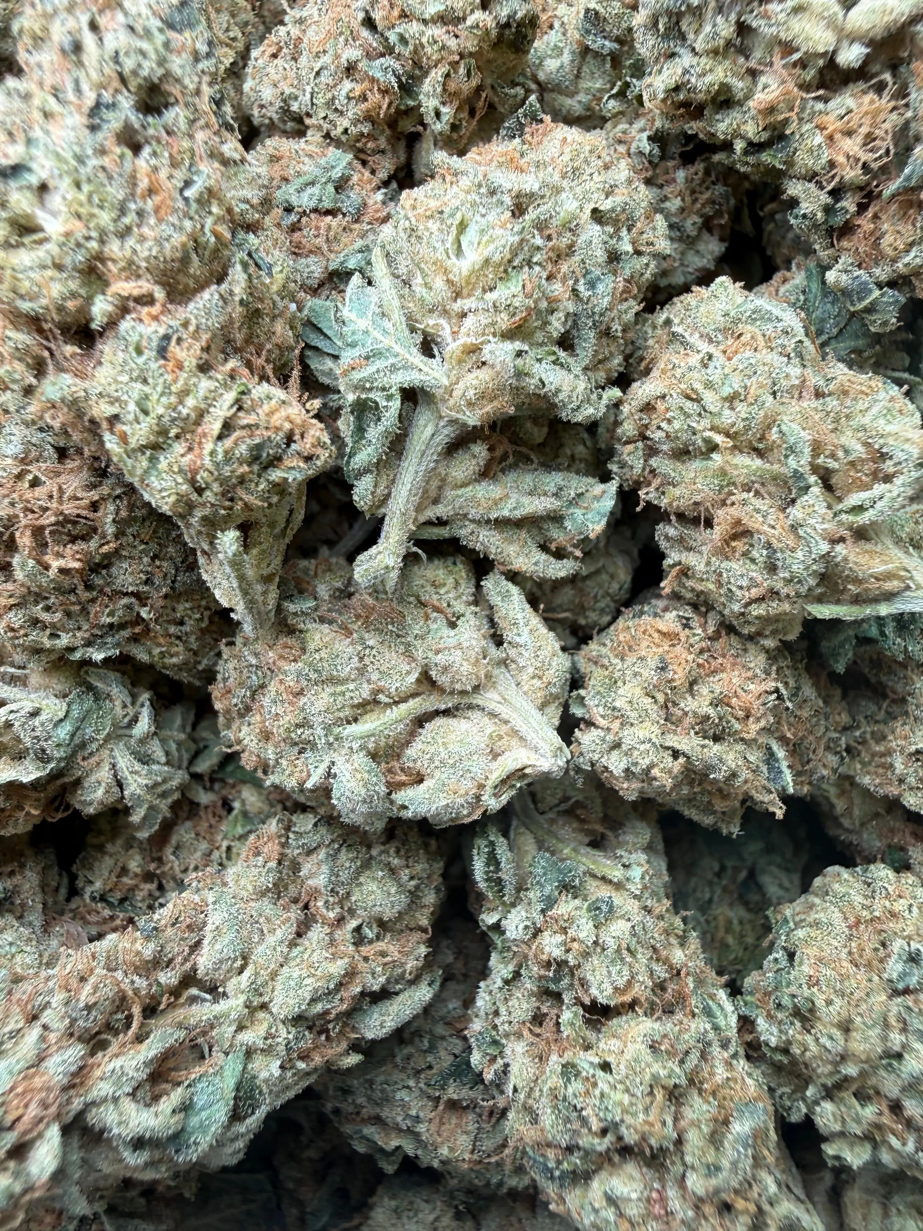 1/2 Pound Gorilla Glue THCA Flower - Image 4