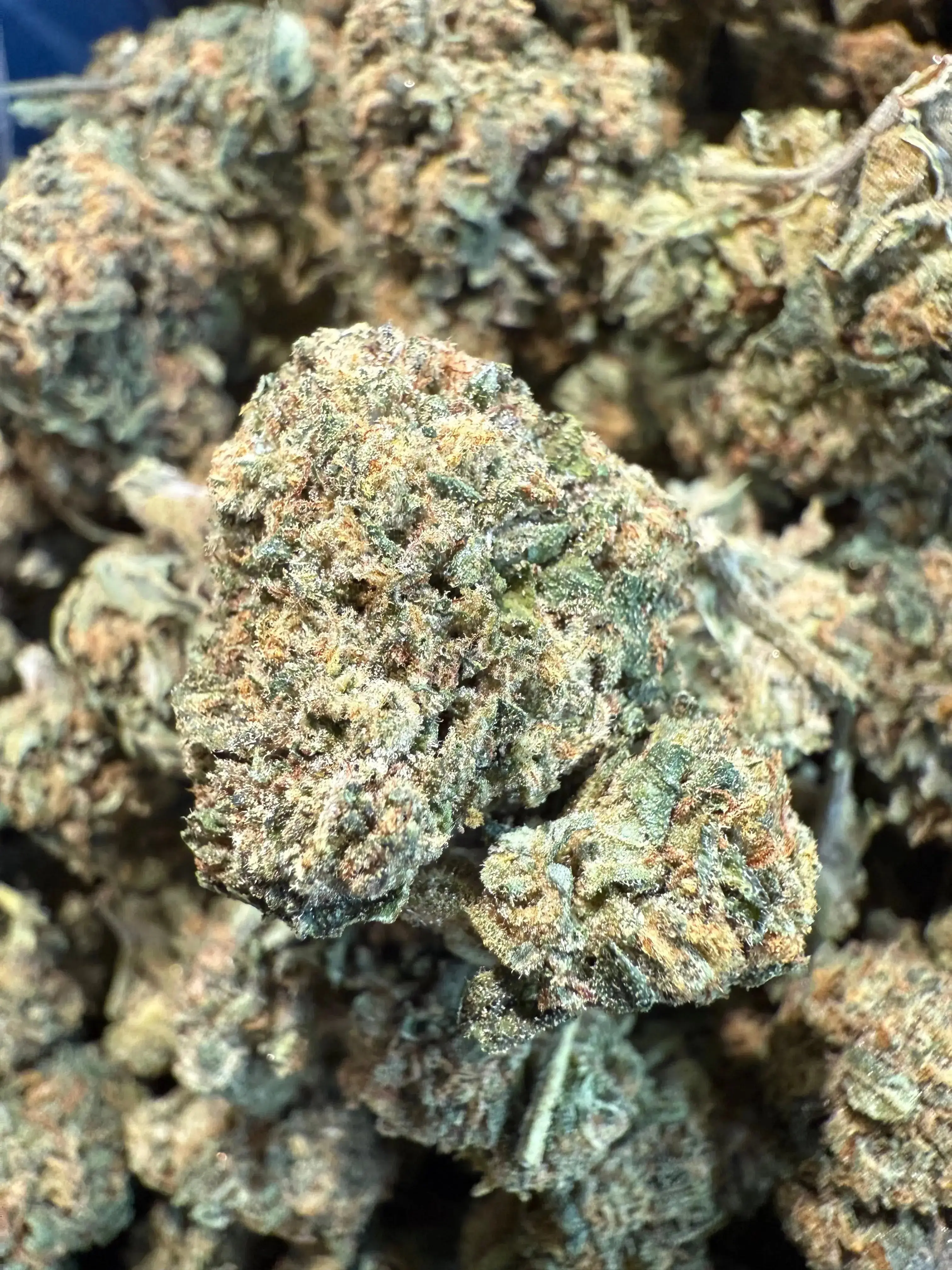 1 Pound El Chapo OG THCA