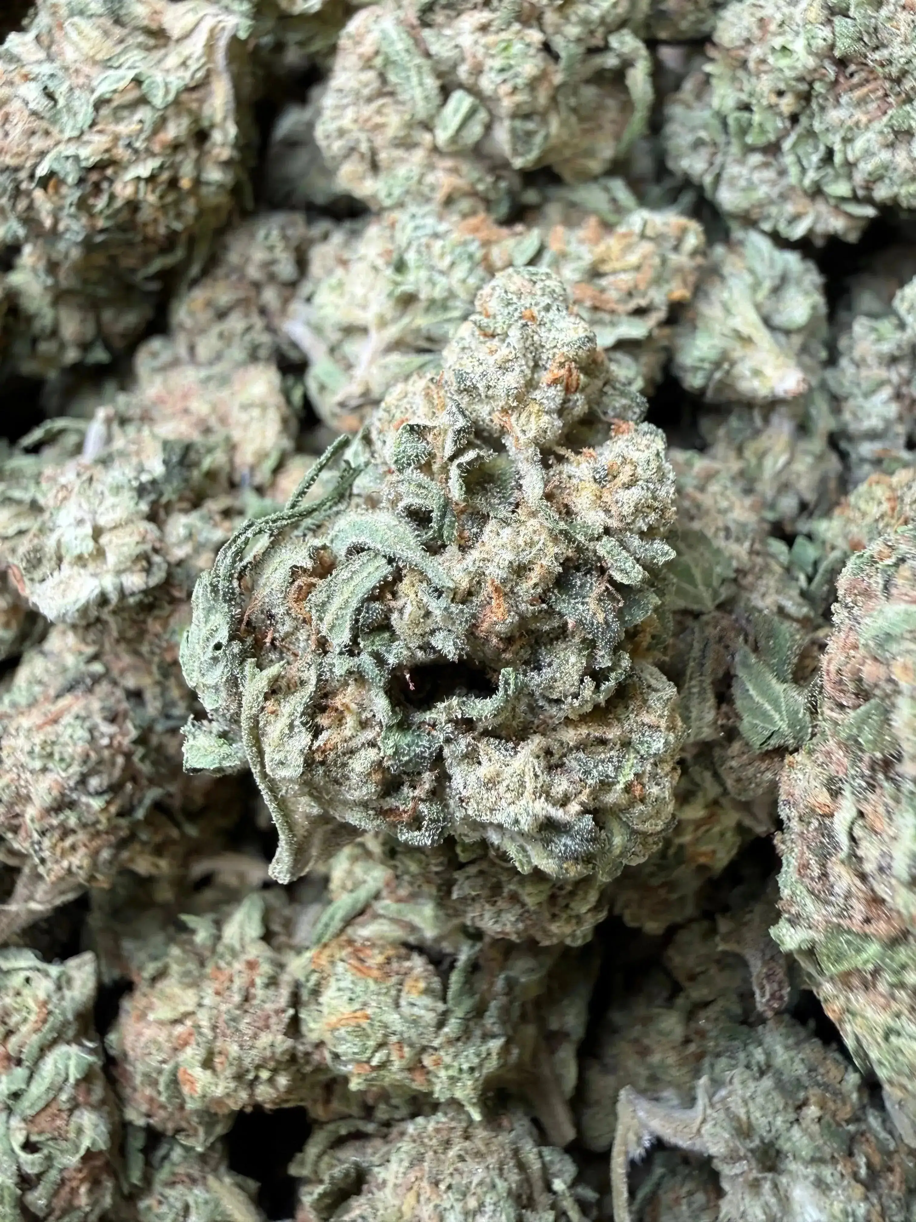 1/2 Pound -  Guava Gas Station Strain - Image 3