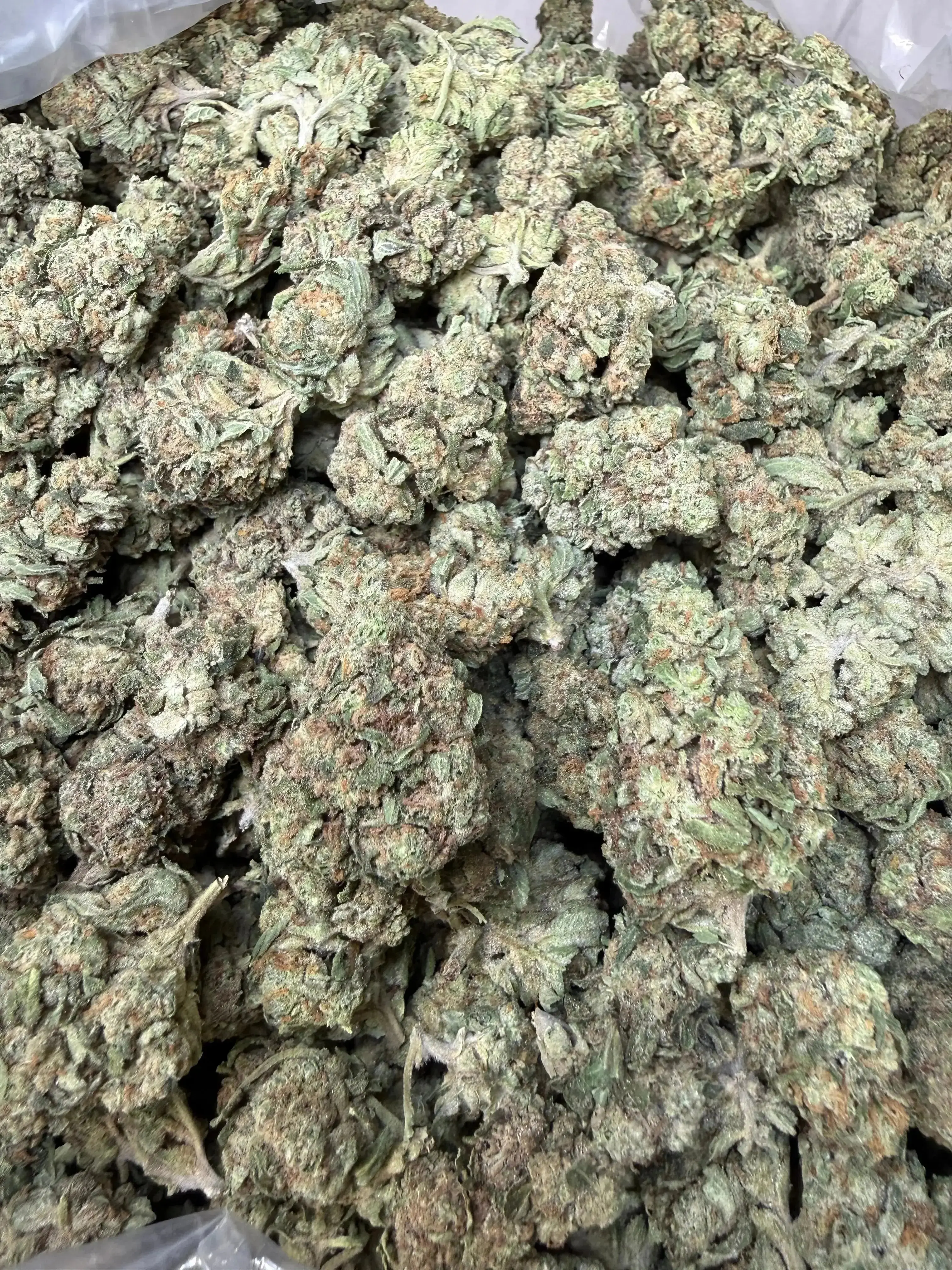 1/2 Pound -  Guava Gas Station Strain - Image 4