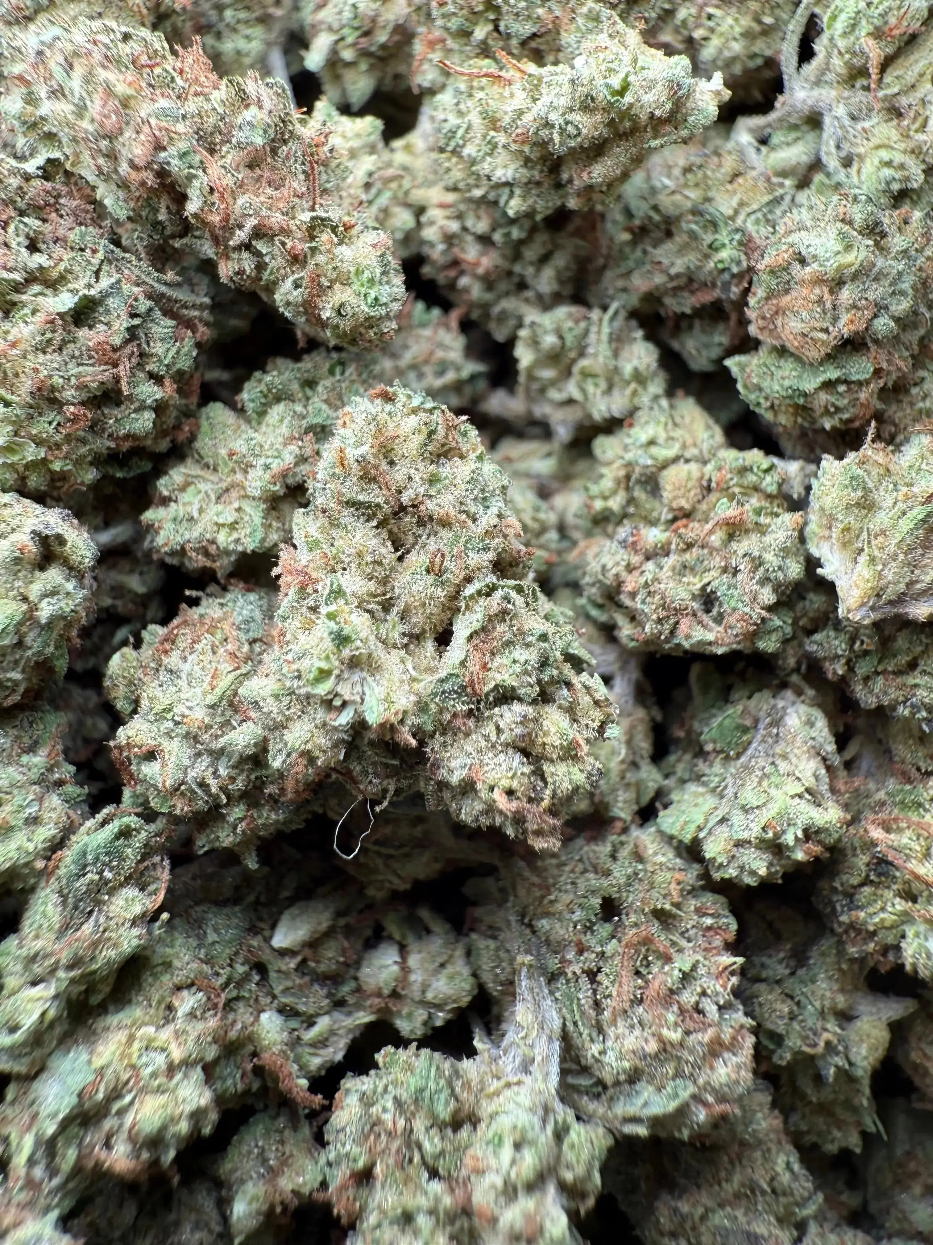 1/2 Pound Han Solo THCA (Smalls)