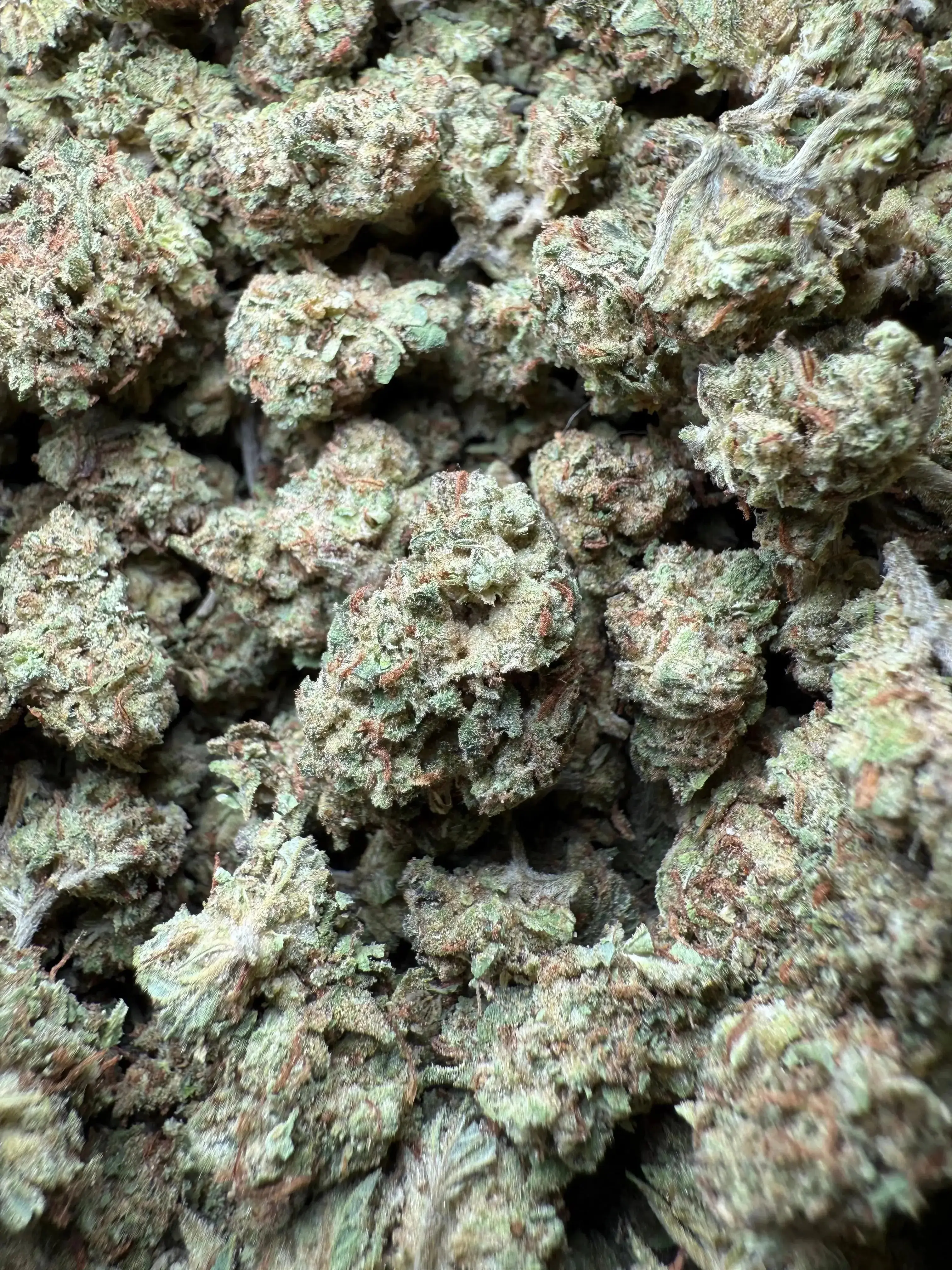 1/2 Pound Han Solo THCA (Smalls) - Image 2