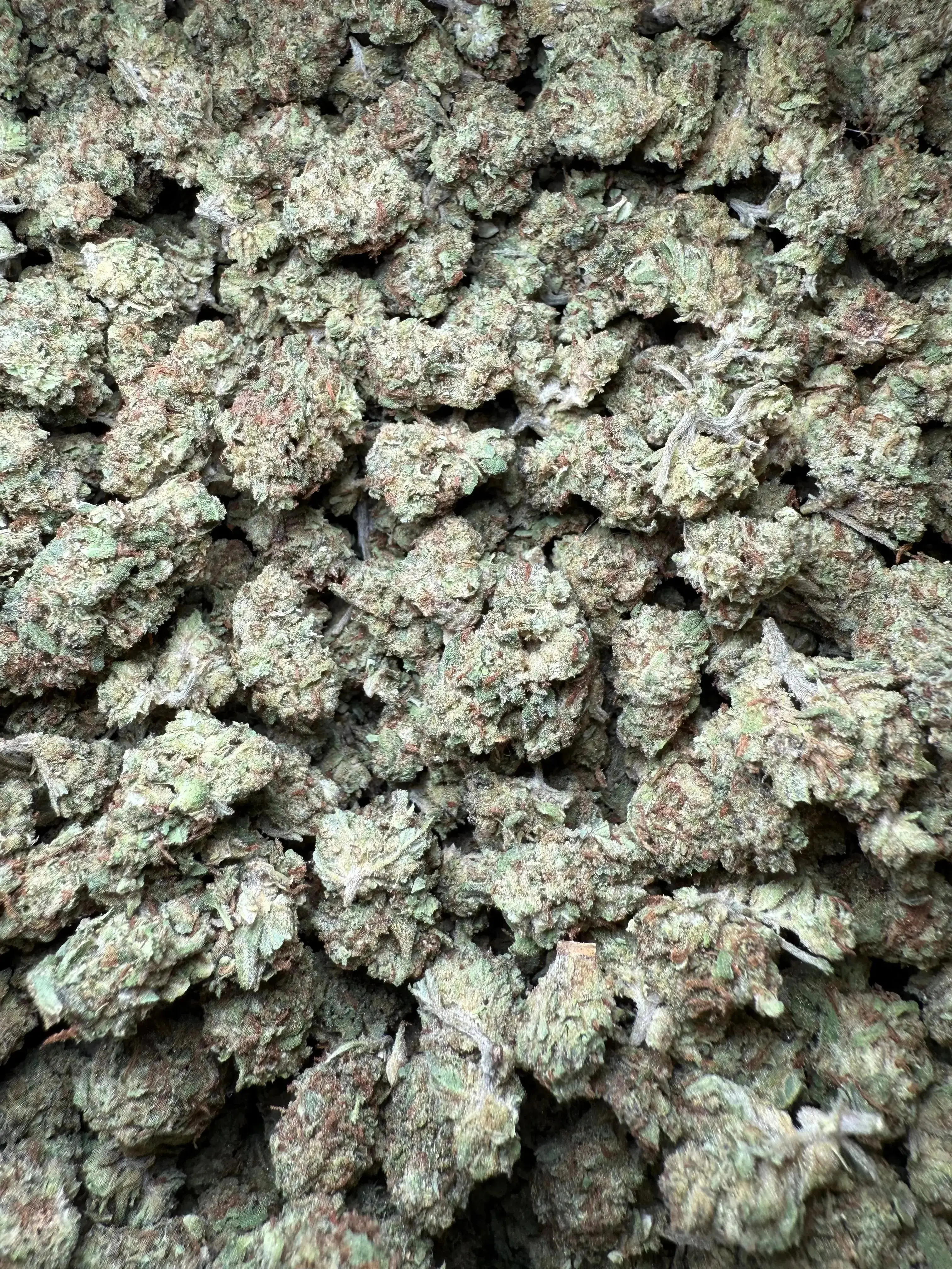 1/2 Pound Han Solo THCA (Smalls) - Image 3