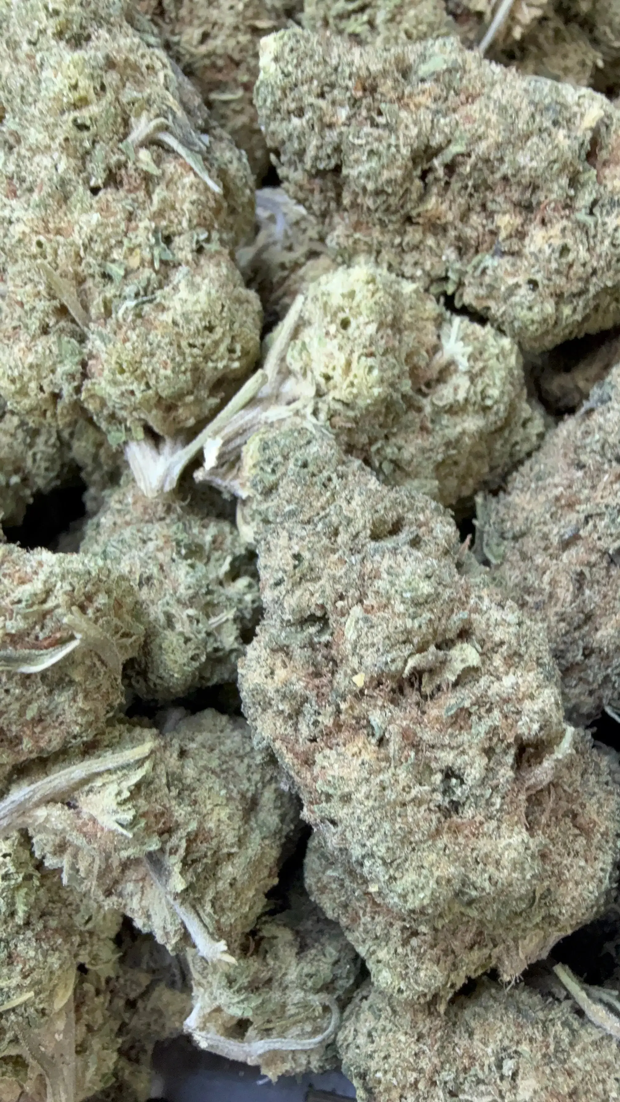 1/2 Pound Punch Breath THCA Flower - Image 7