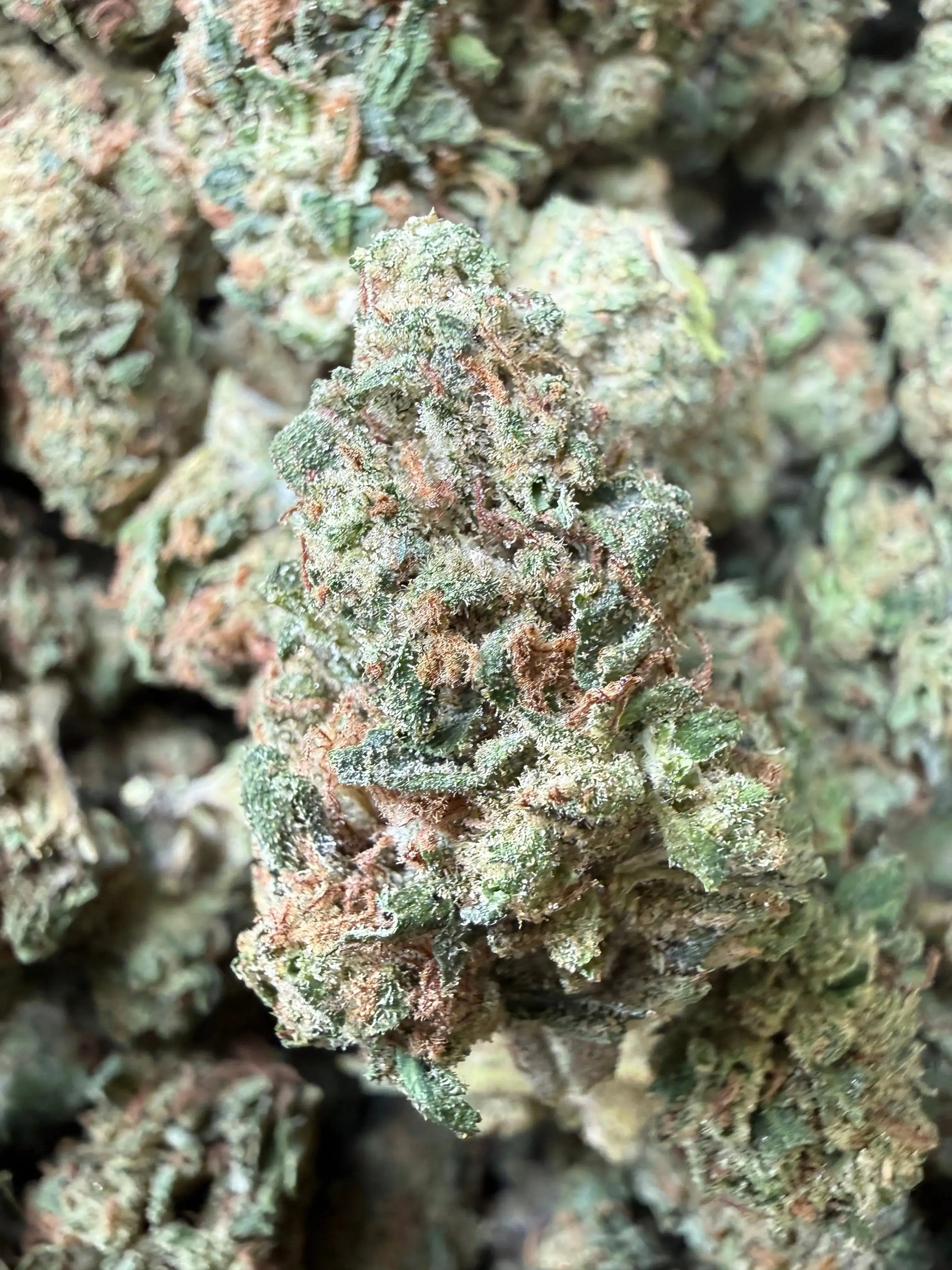 1 Pound - Super Wu Tang OG Strain