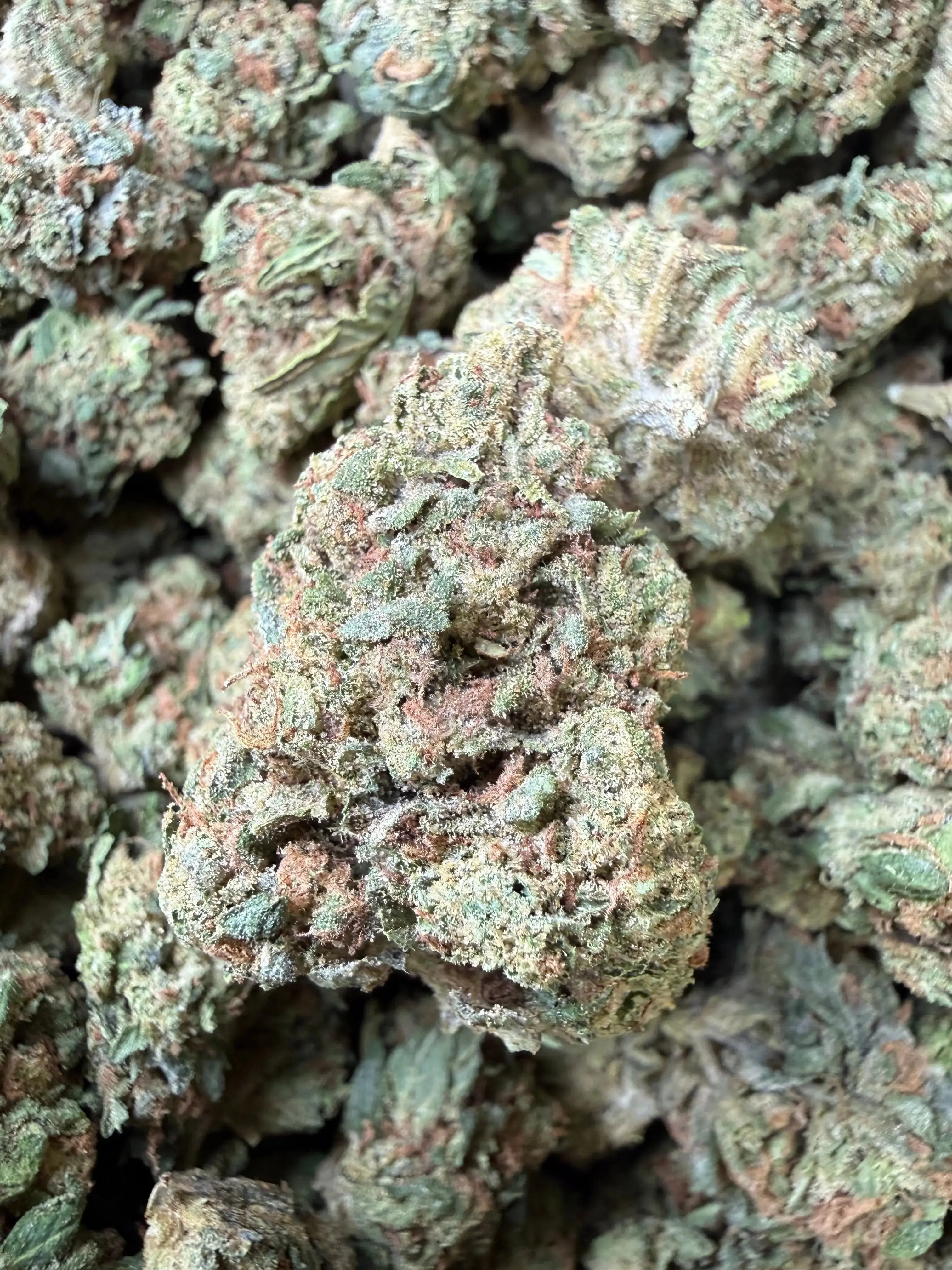 1 Pound - Super Wu Tang OG Strain - Image 2