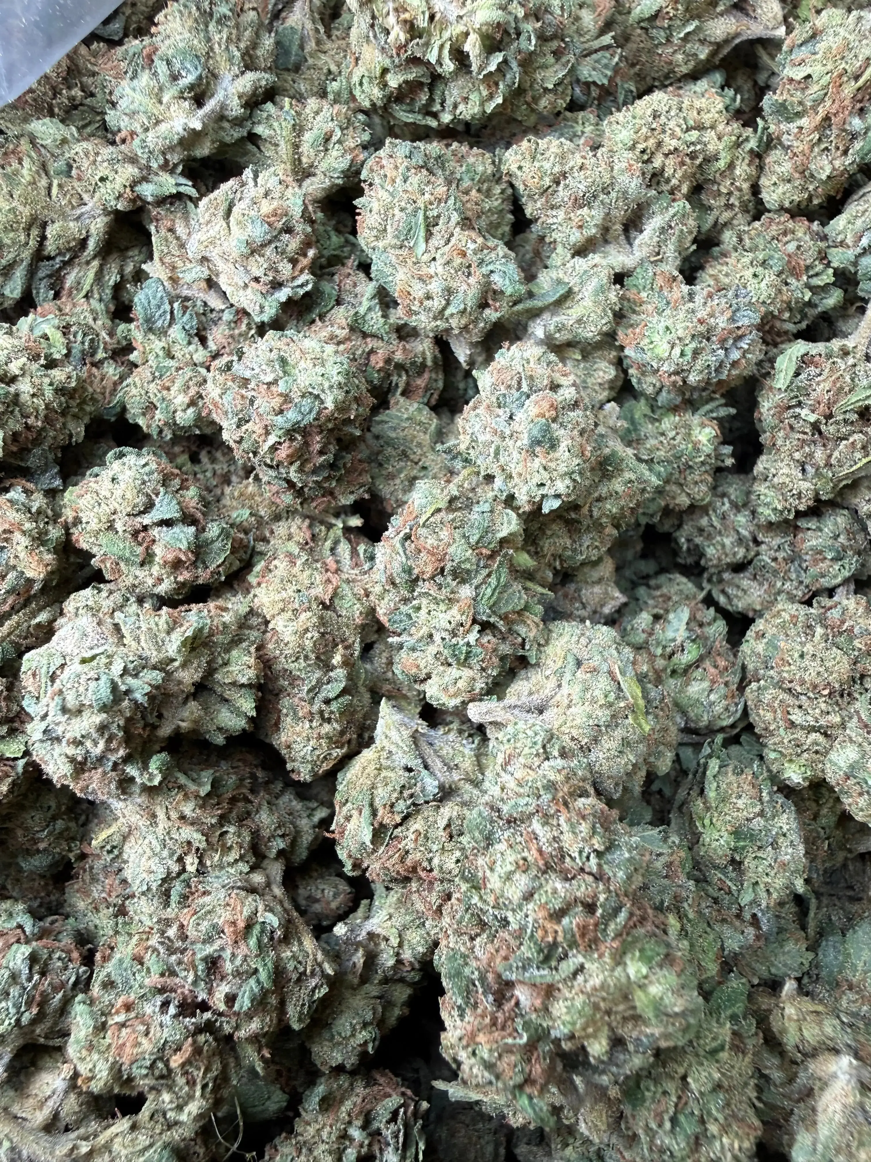 1 Pound - Super Wu Tang OG Strain - Image 3
