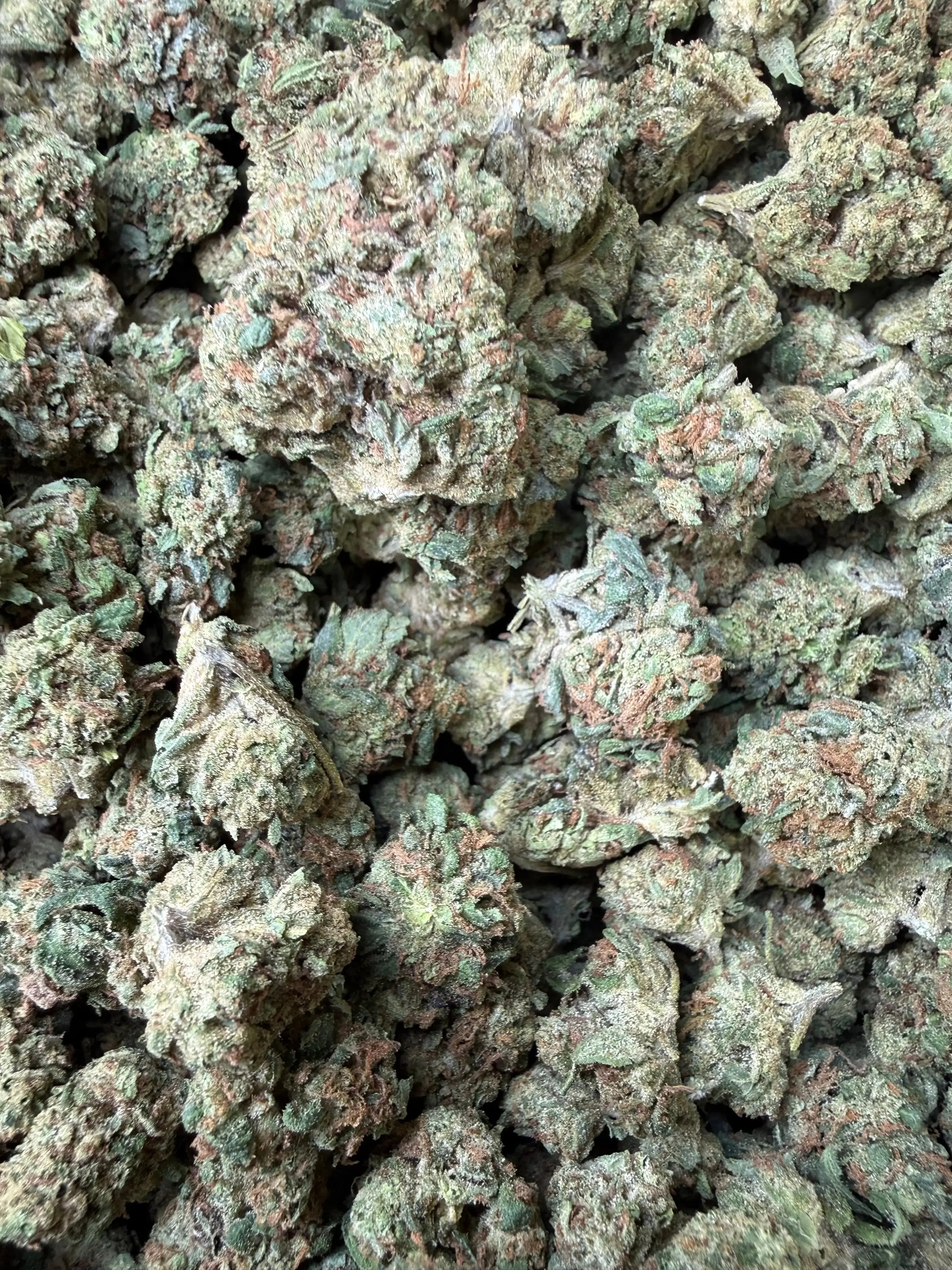 1 Pound - Super Wu Tang OG Strain - Image 4