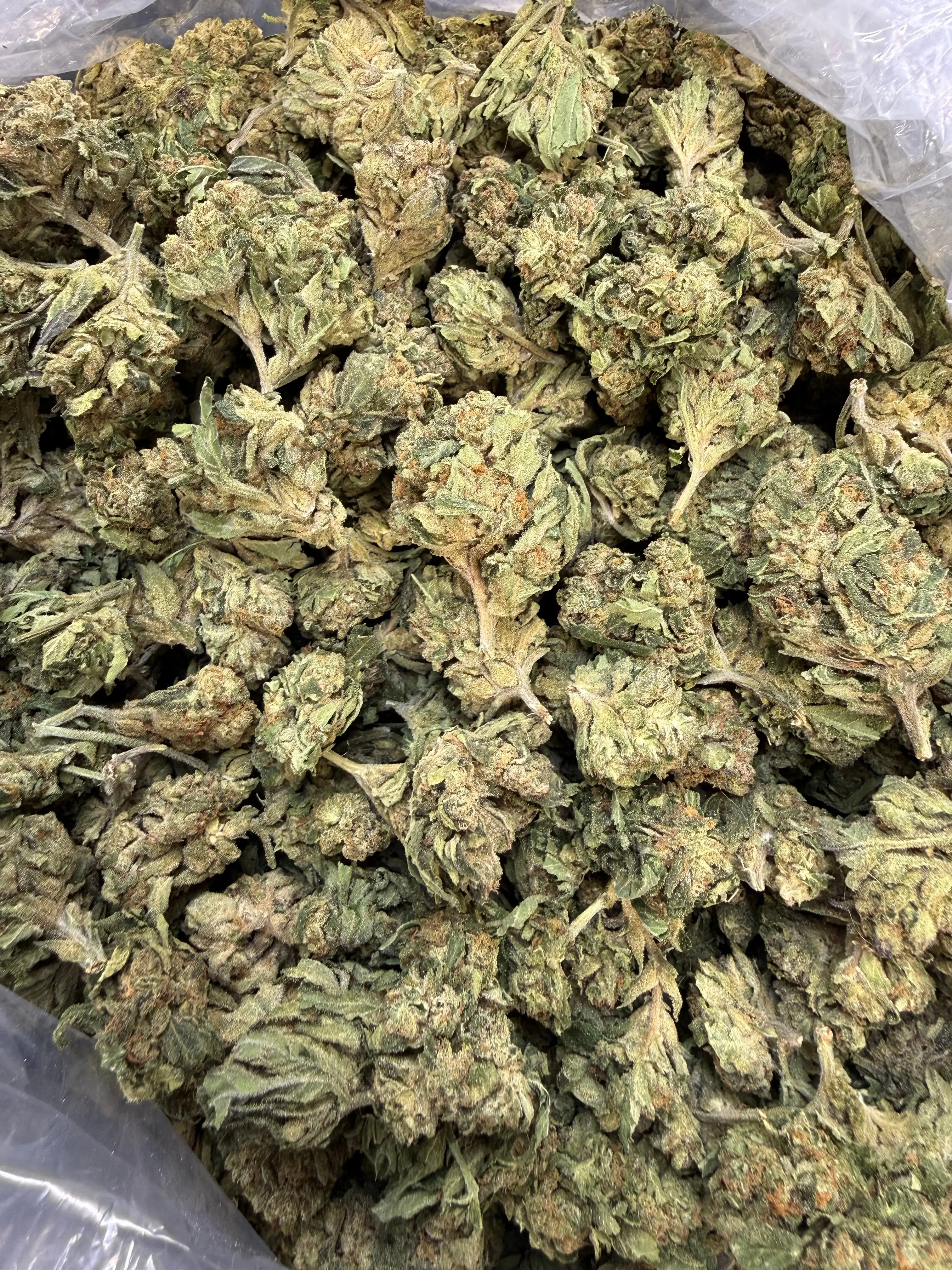1 Pound Lemon Curd THCA Flower - Image 4