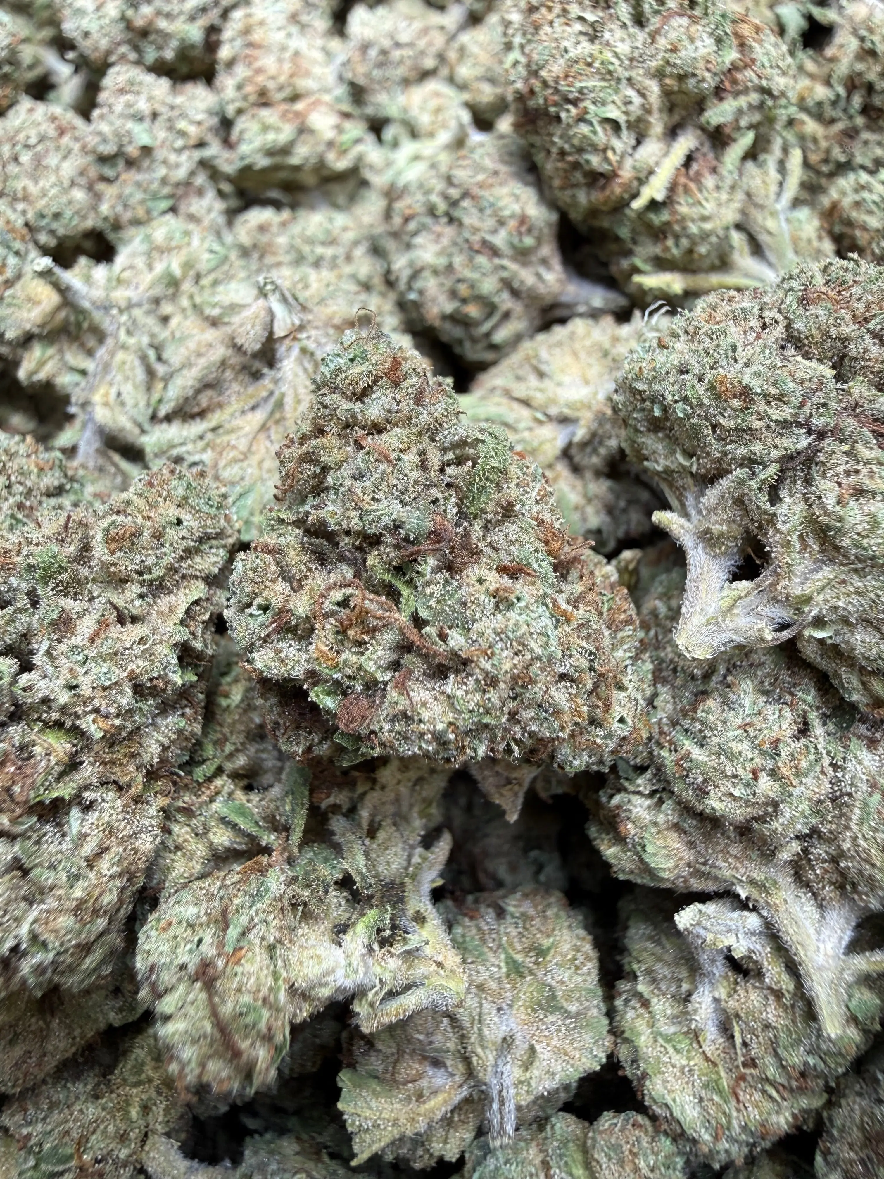 1 Oz - Permanent Chimera THCA Flower - Image 3