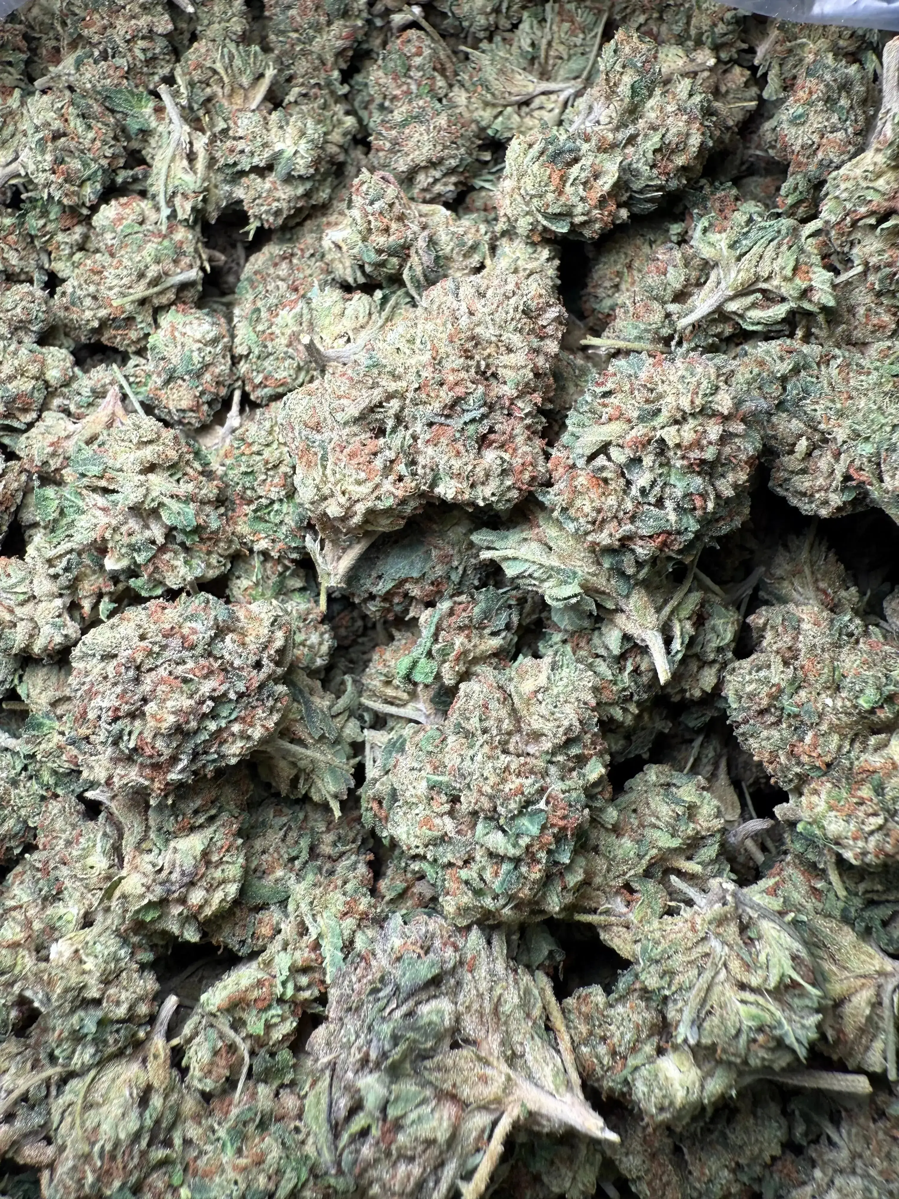 1 Pound Biscotti Sundae THCA - Image 2