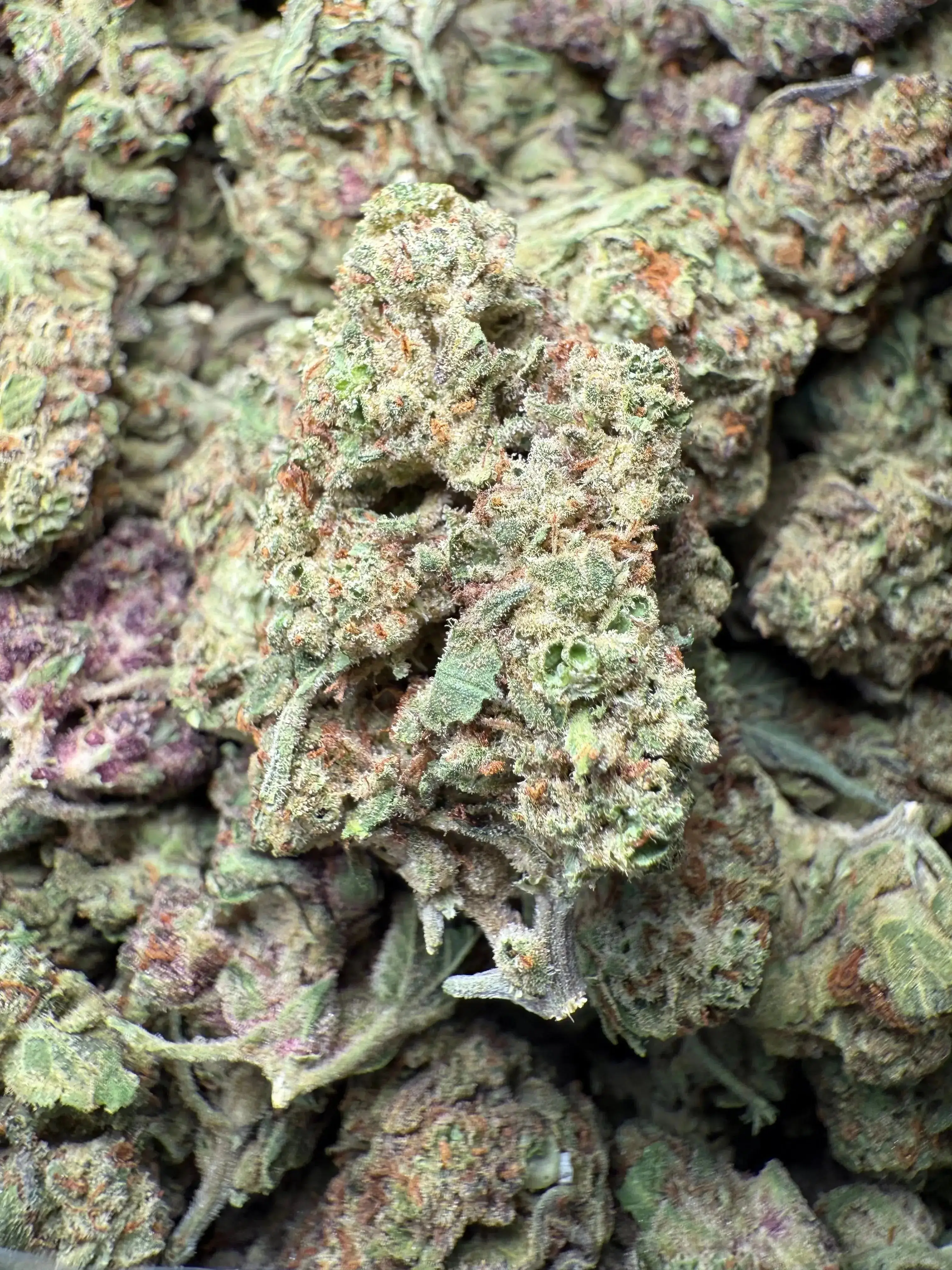 1 Pound Black Afghan THCA - Image 2
