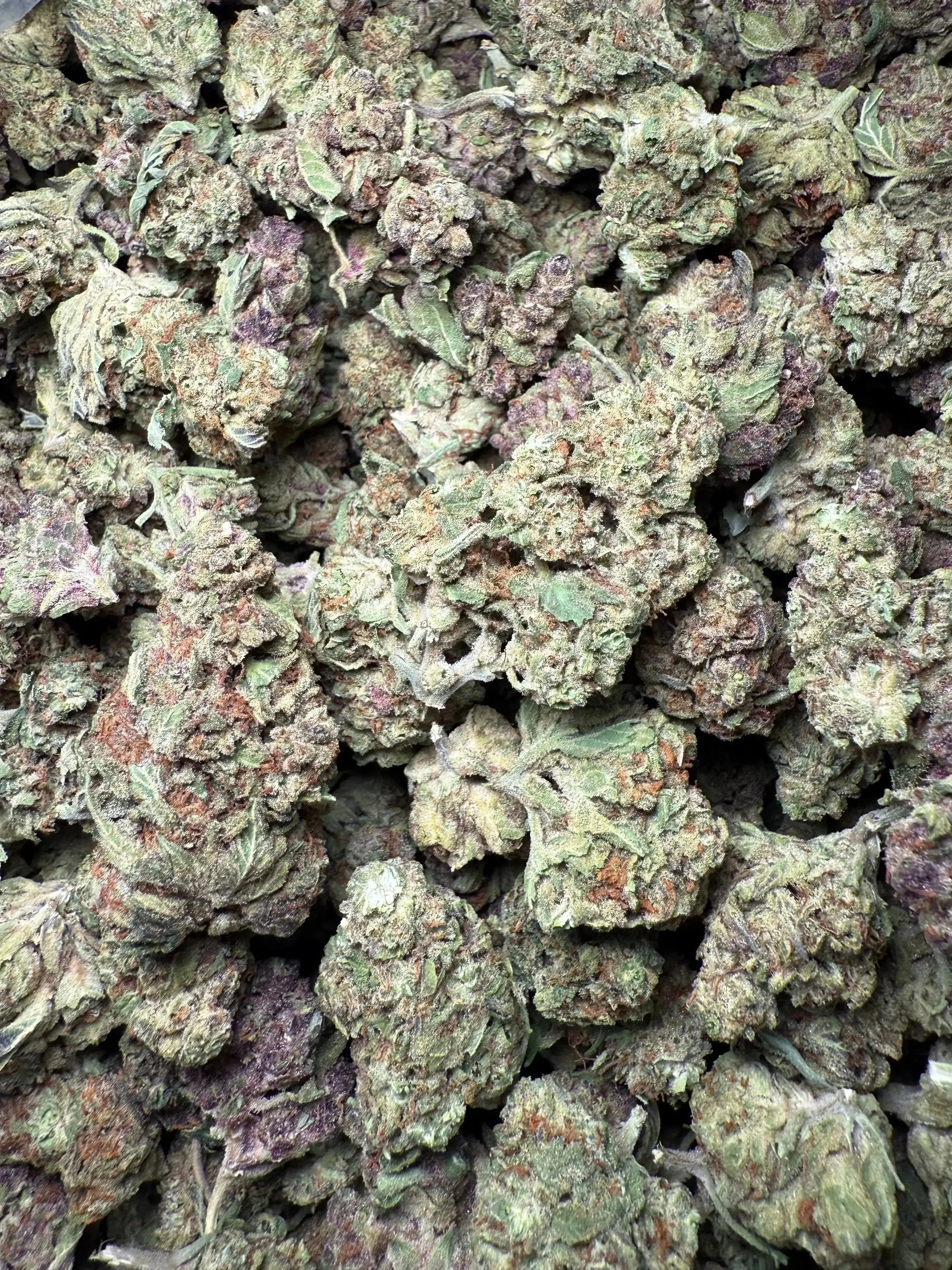 1 Pound Black Afghan THCA - Image 3