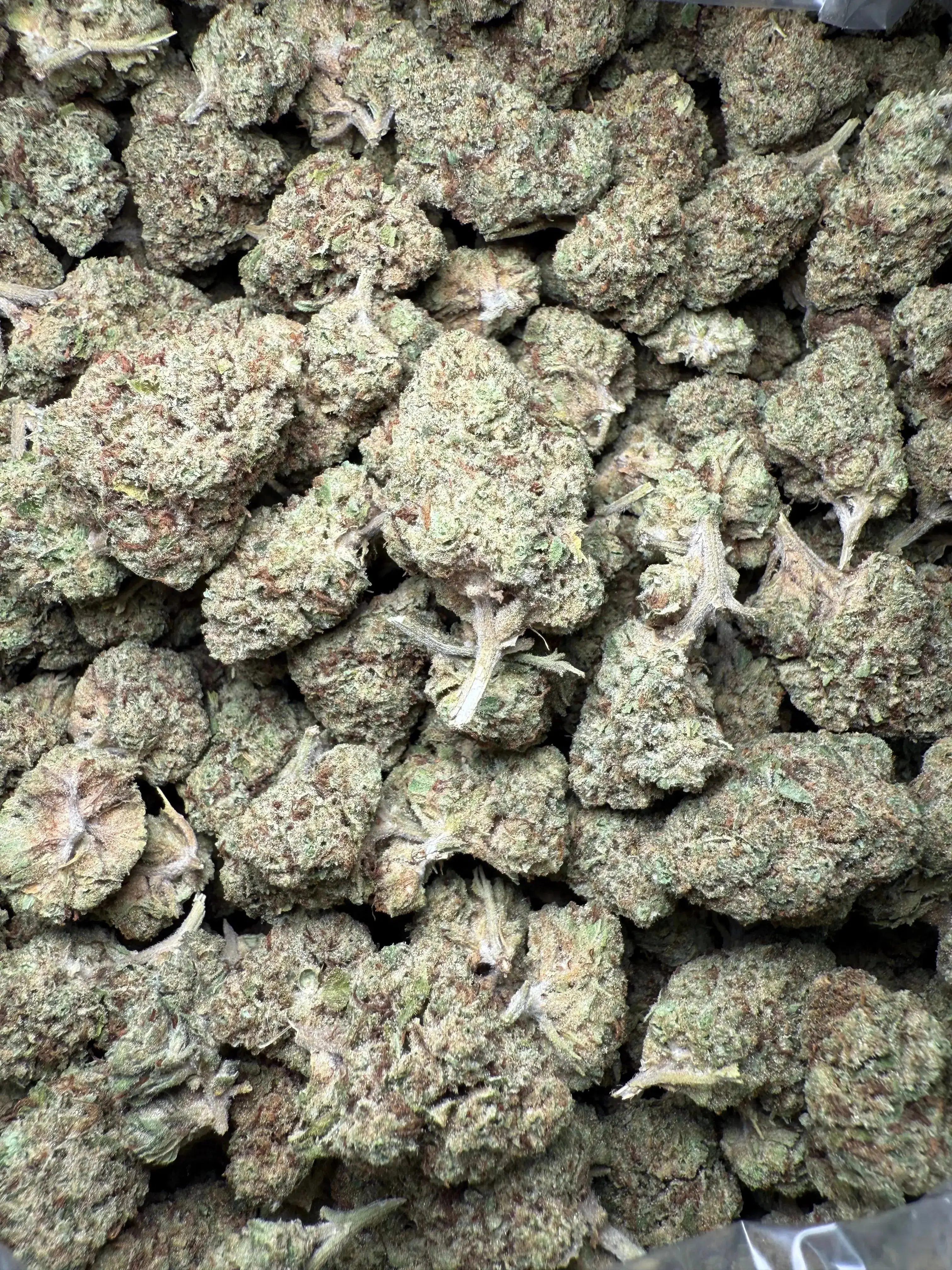 1 Pound Black Widow THCA - Image 3