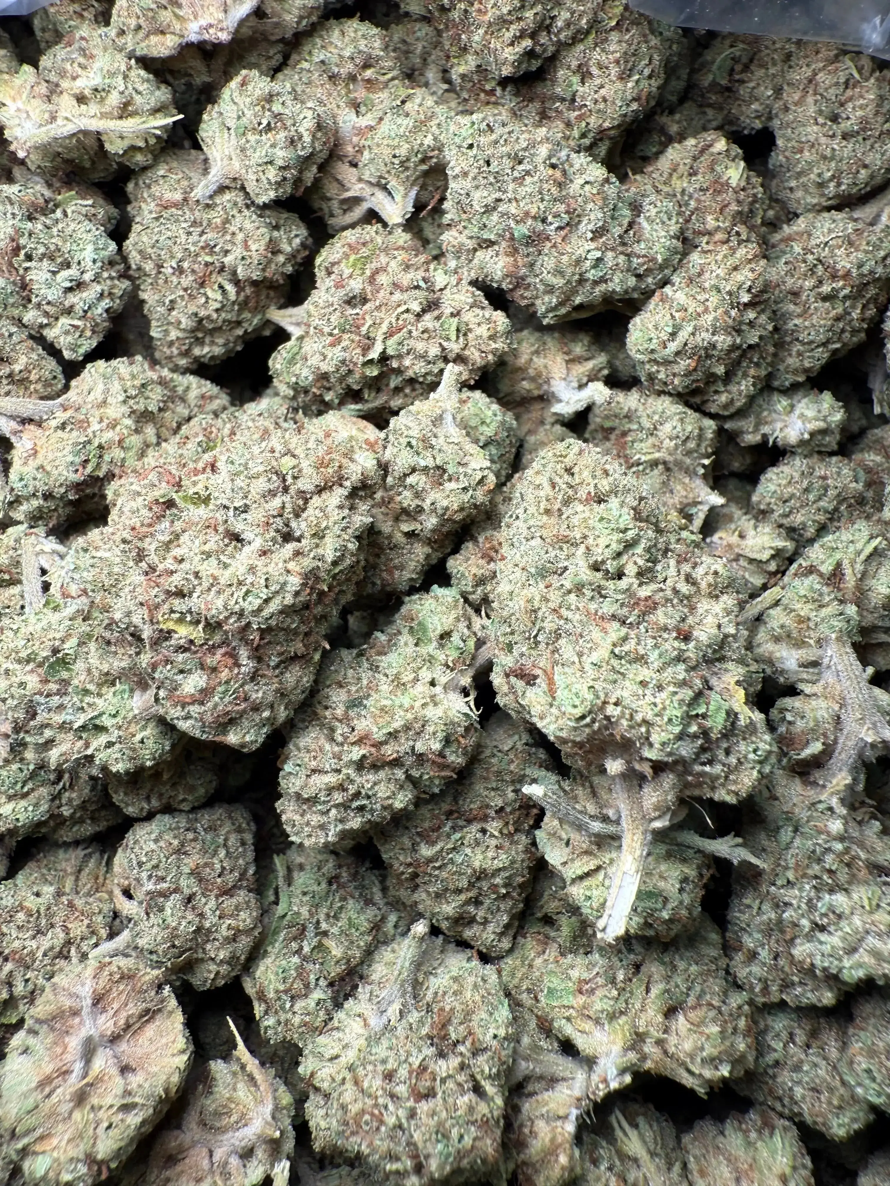 1 Pound Black Widow THCA - Image 4