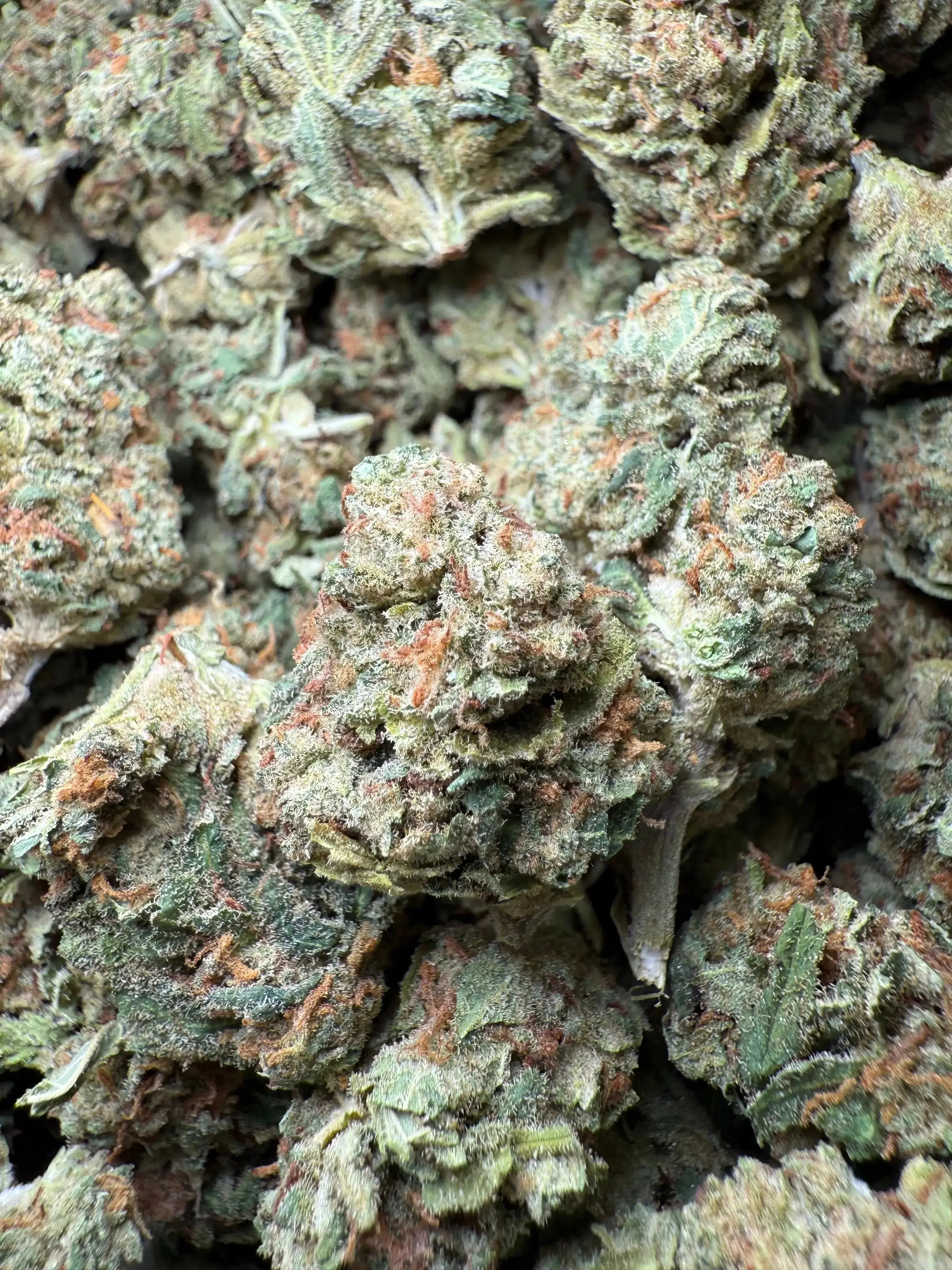 1/2 Pound Bubble Yum THCA