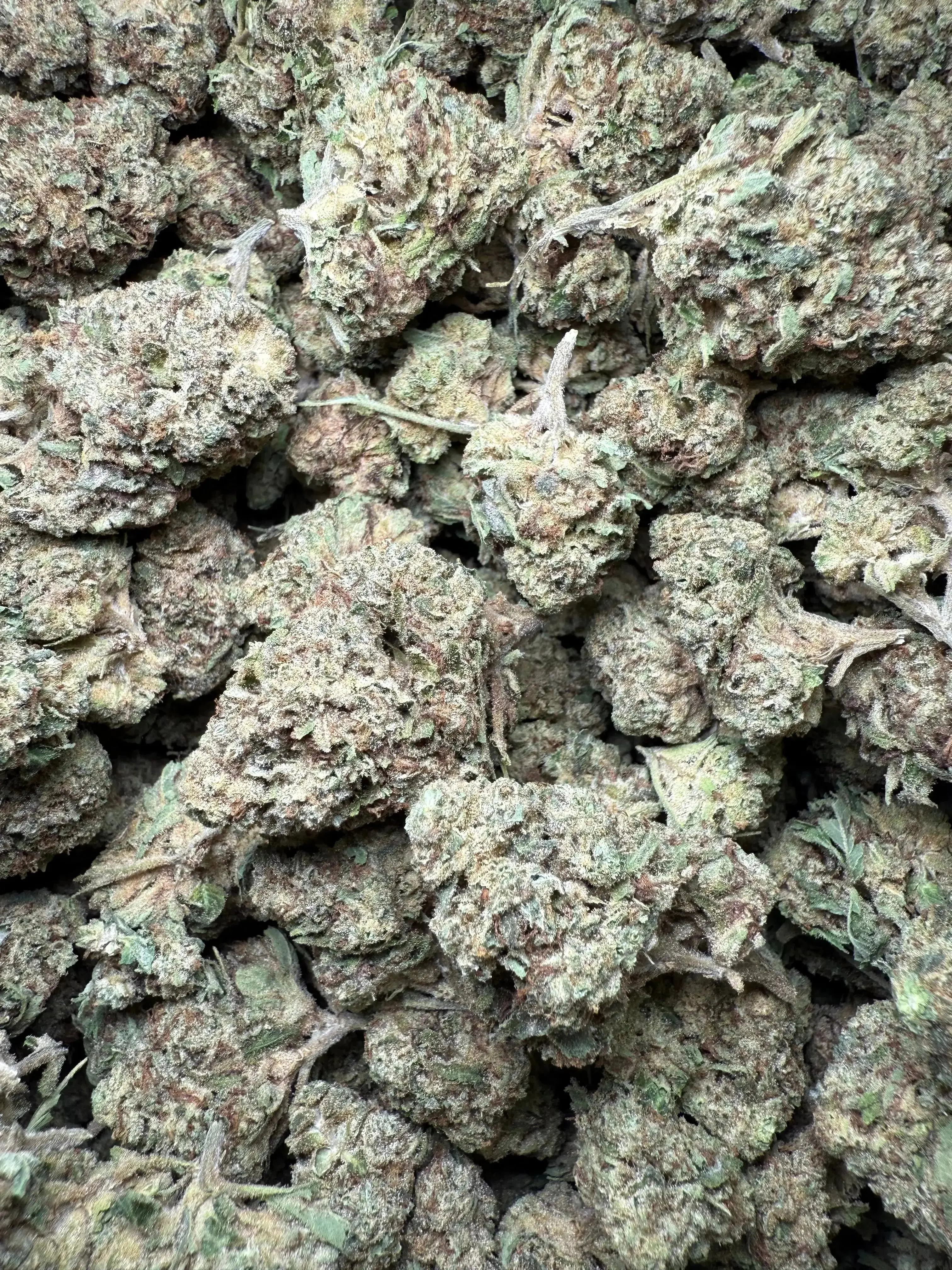 1/2 Pound Chocolate Kush THCA - Image 2
