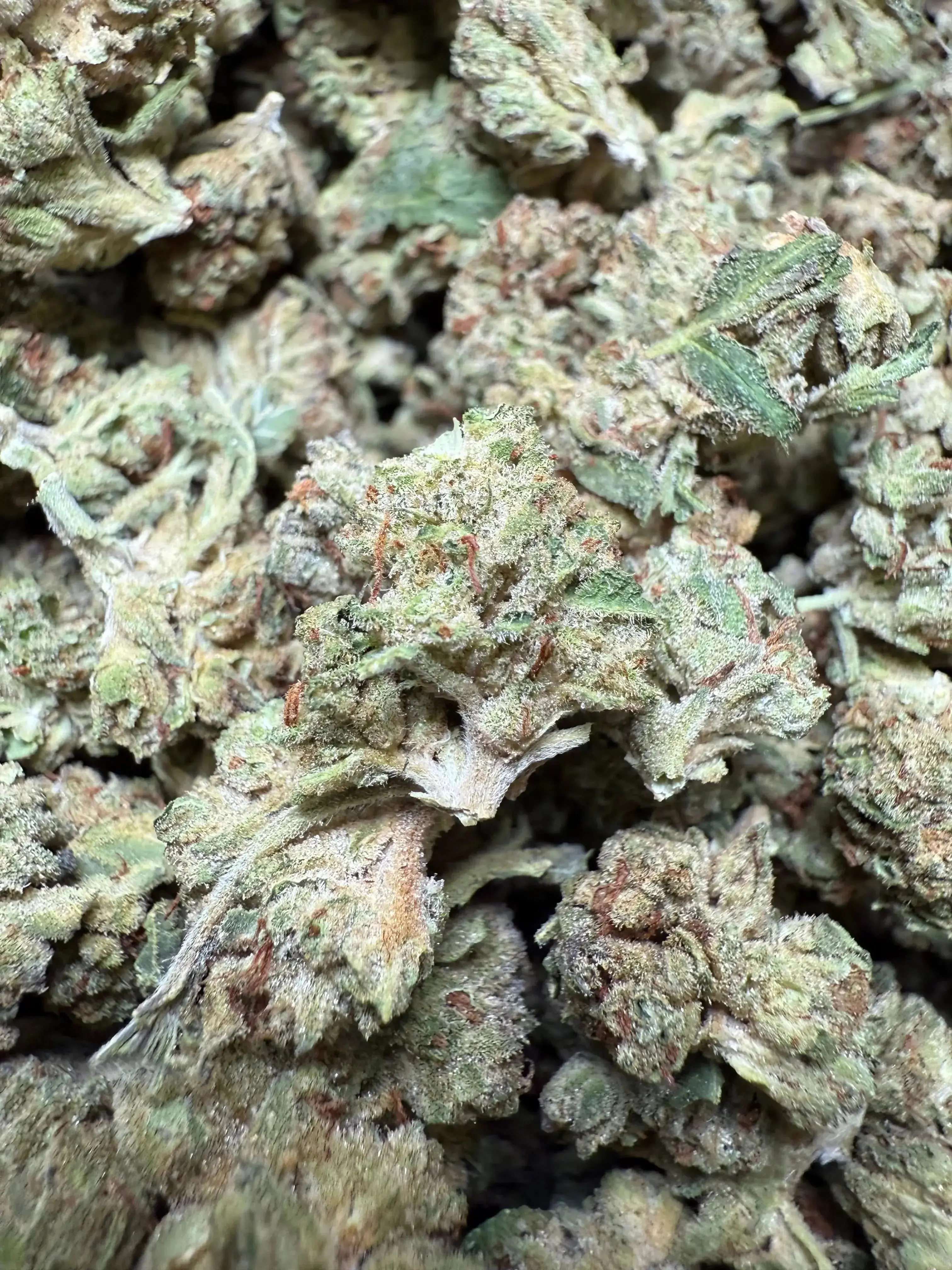 1/2 Pound Exotic Colour THCA (Small)