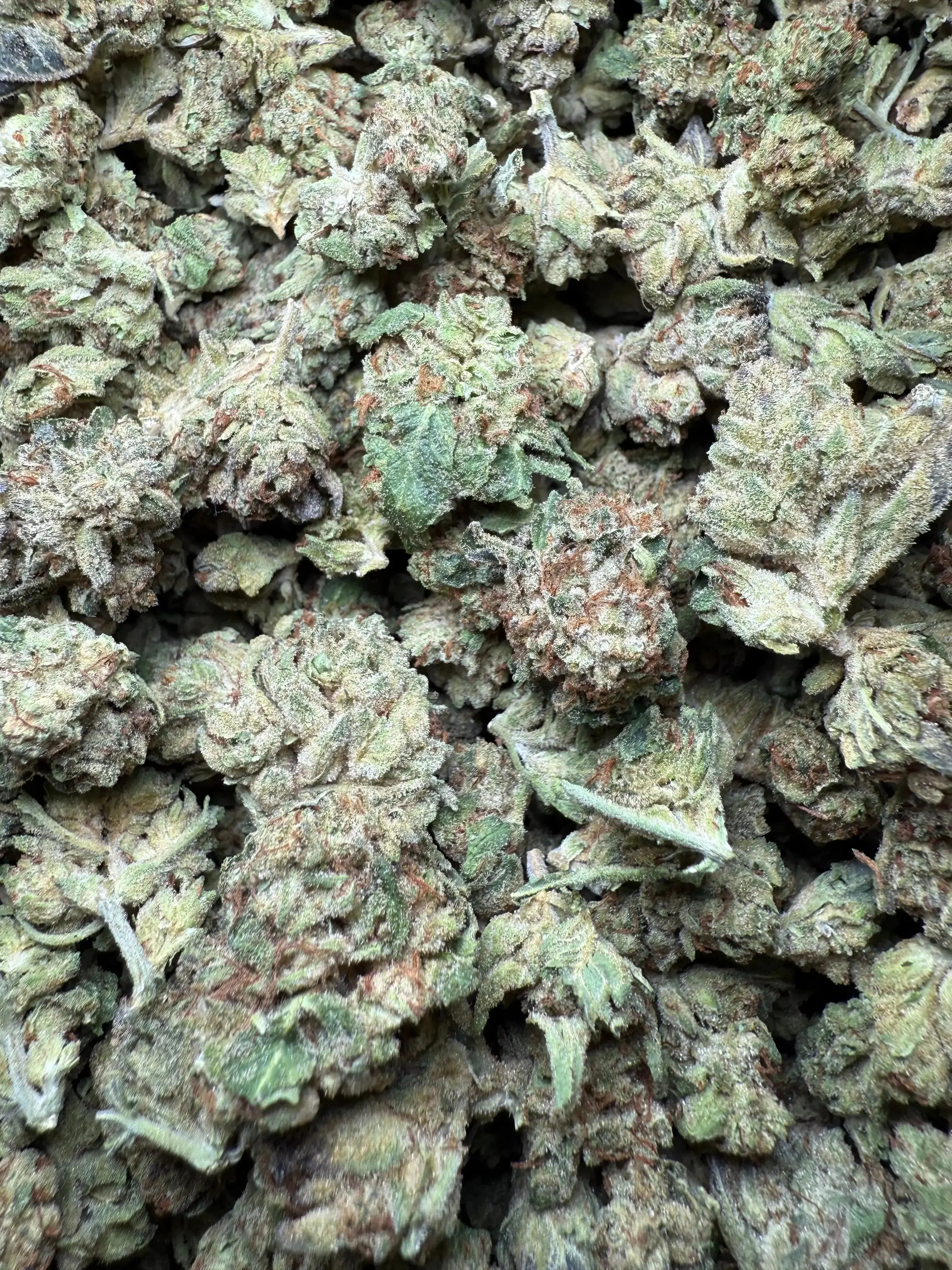1/2 Pound Exotic Colour THCA (Small) - Image 3