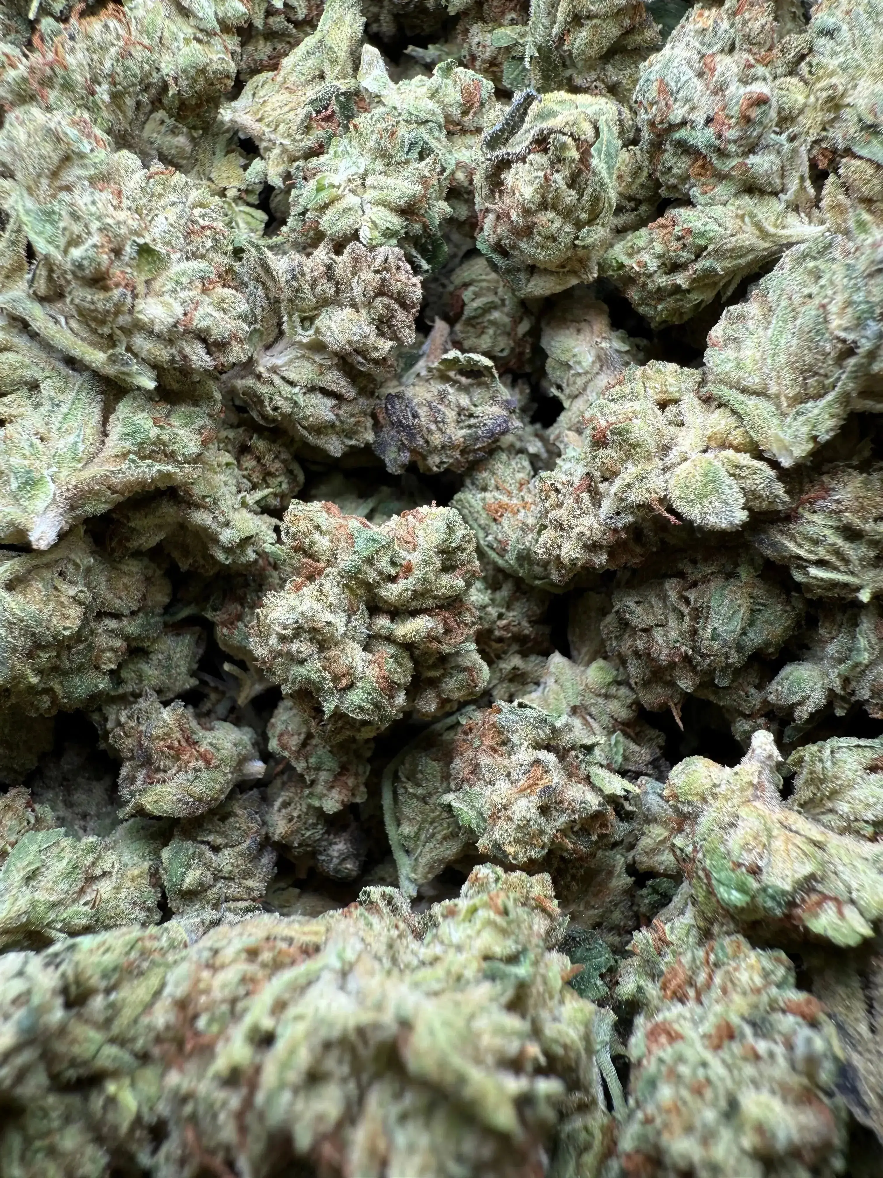 1/2 Pound Exotic Colour THCA (Small) - Image 4