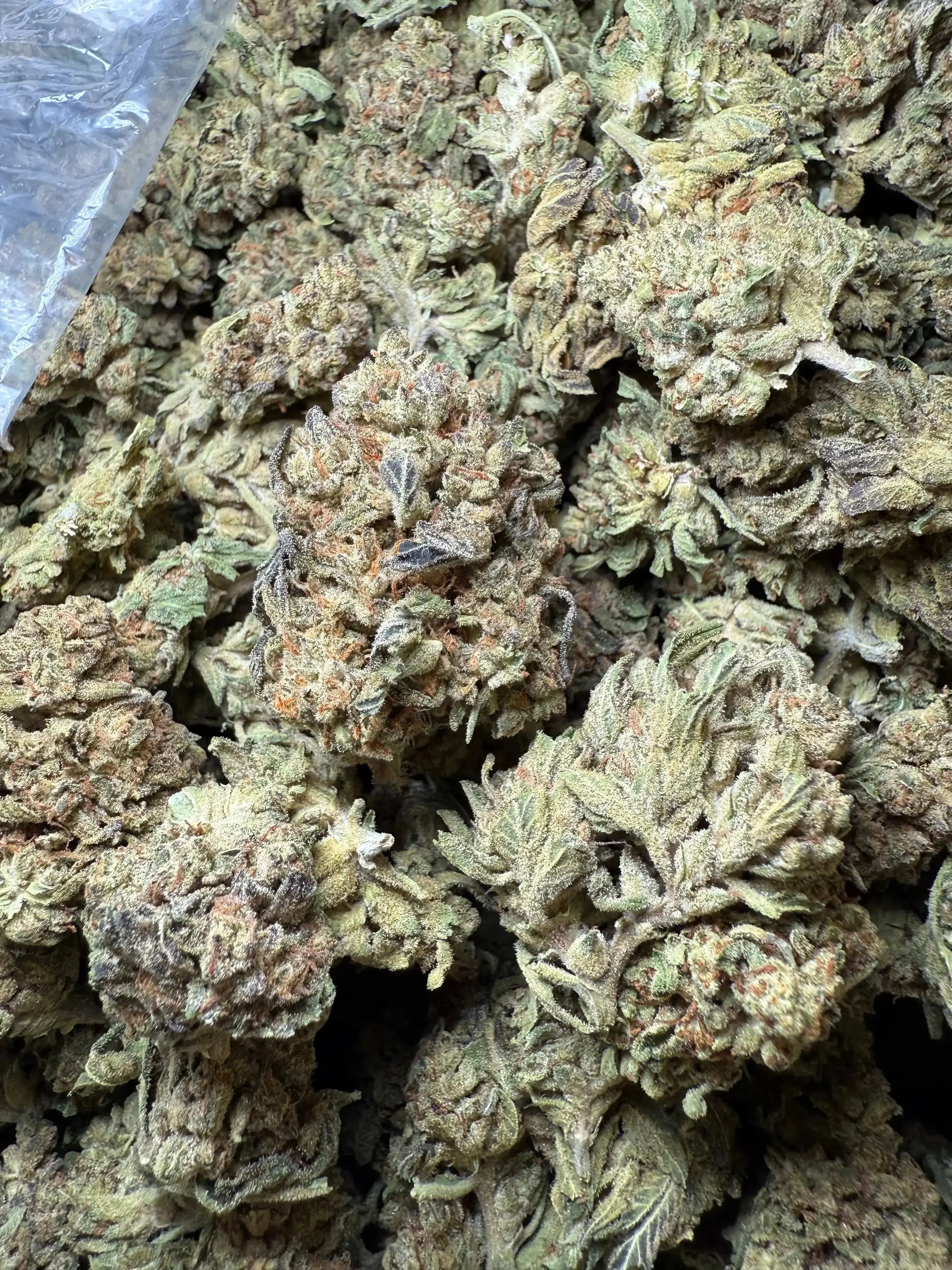 1/2 Pound Fat Boy OG THCA - Image 2