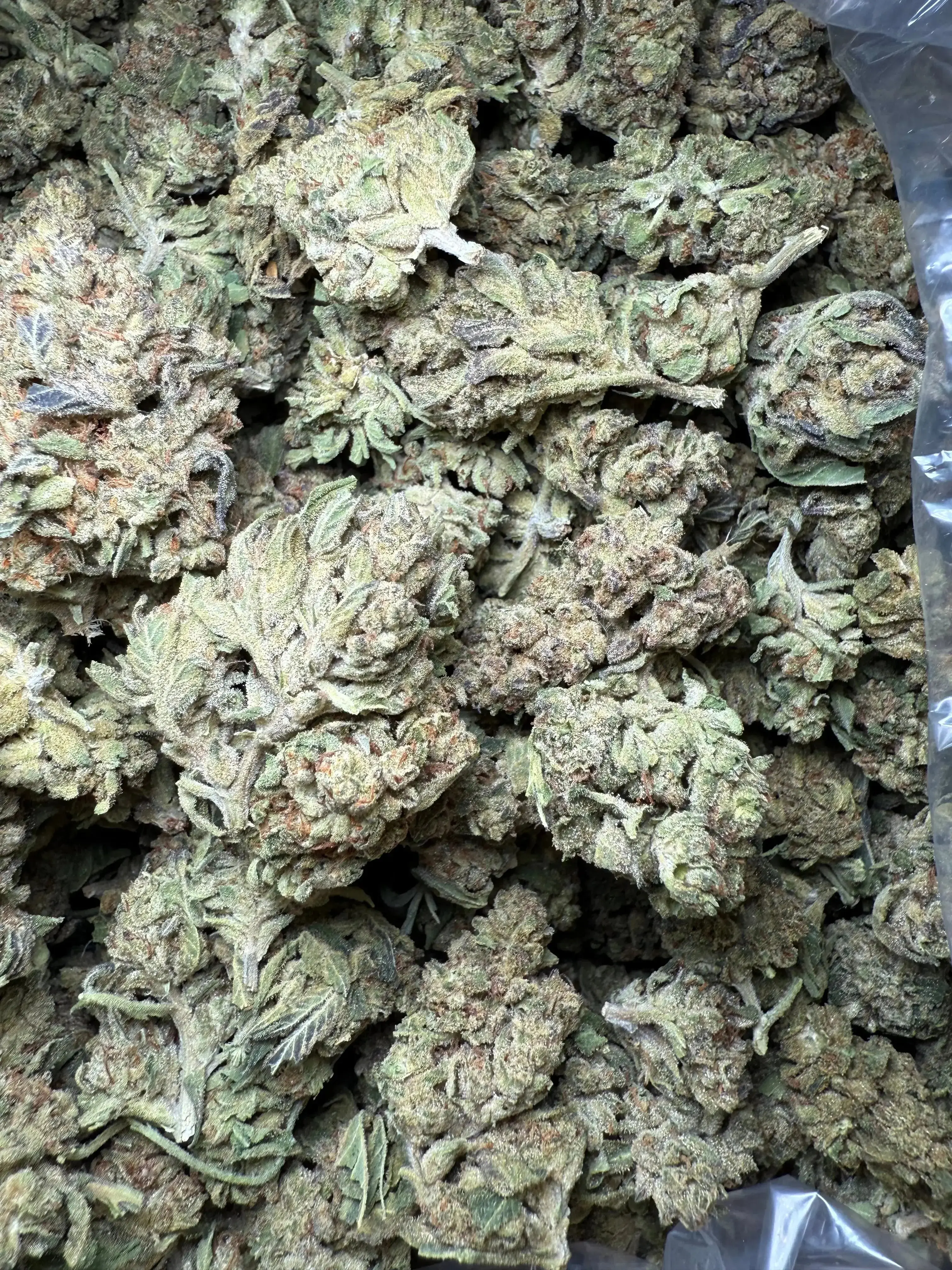 1/2 Pound Fat Boy OG THCA - Image 3