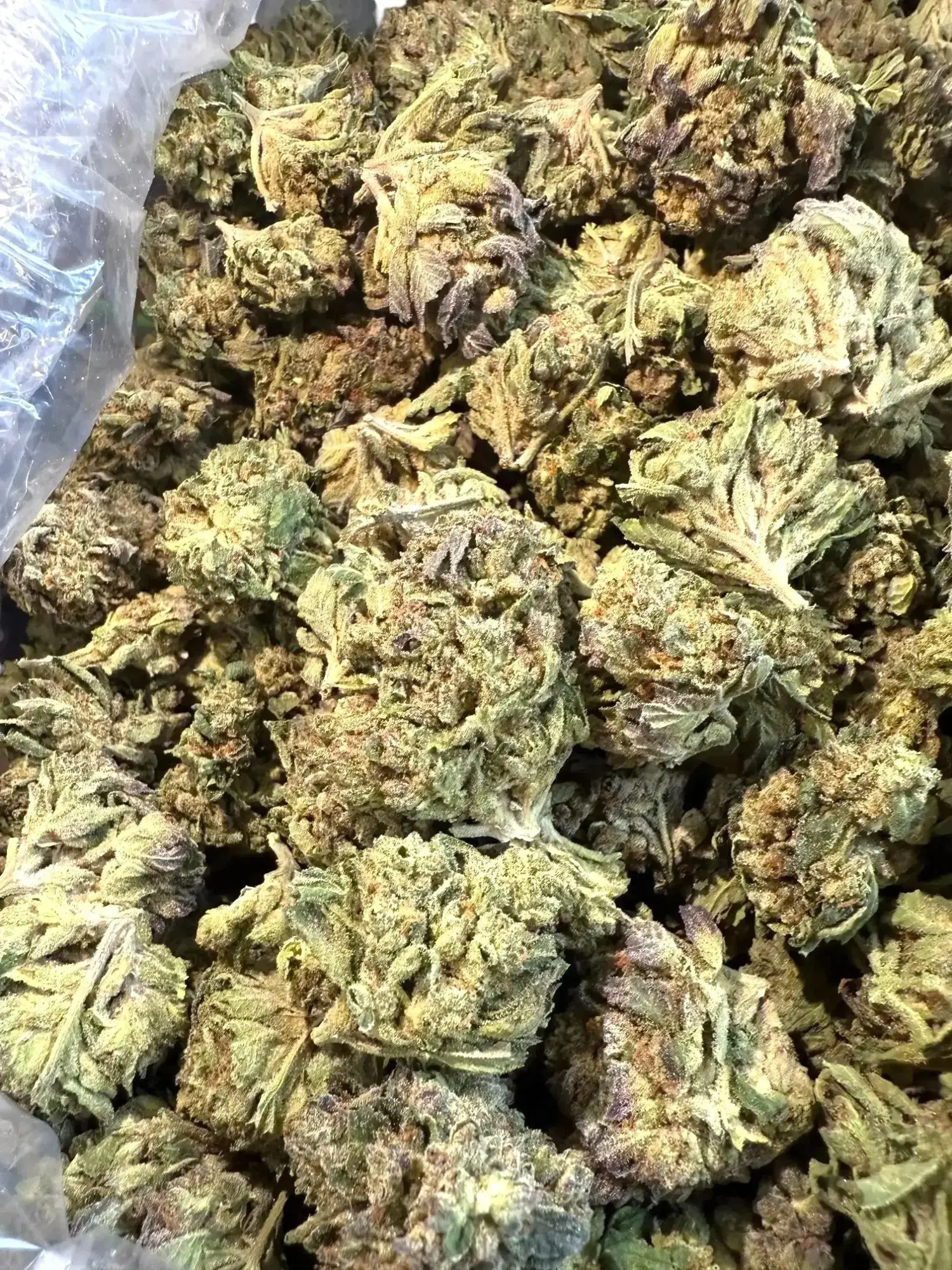 1 Pound GTI Blue THCA - Image 2