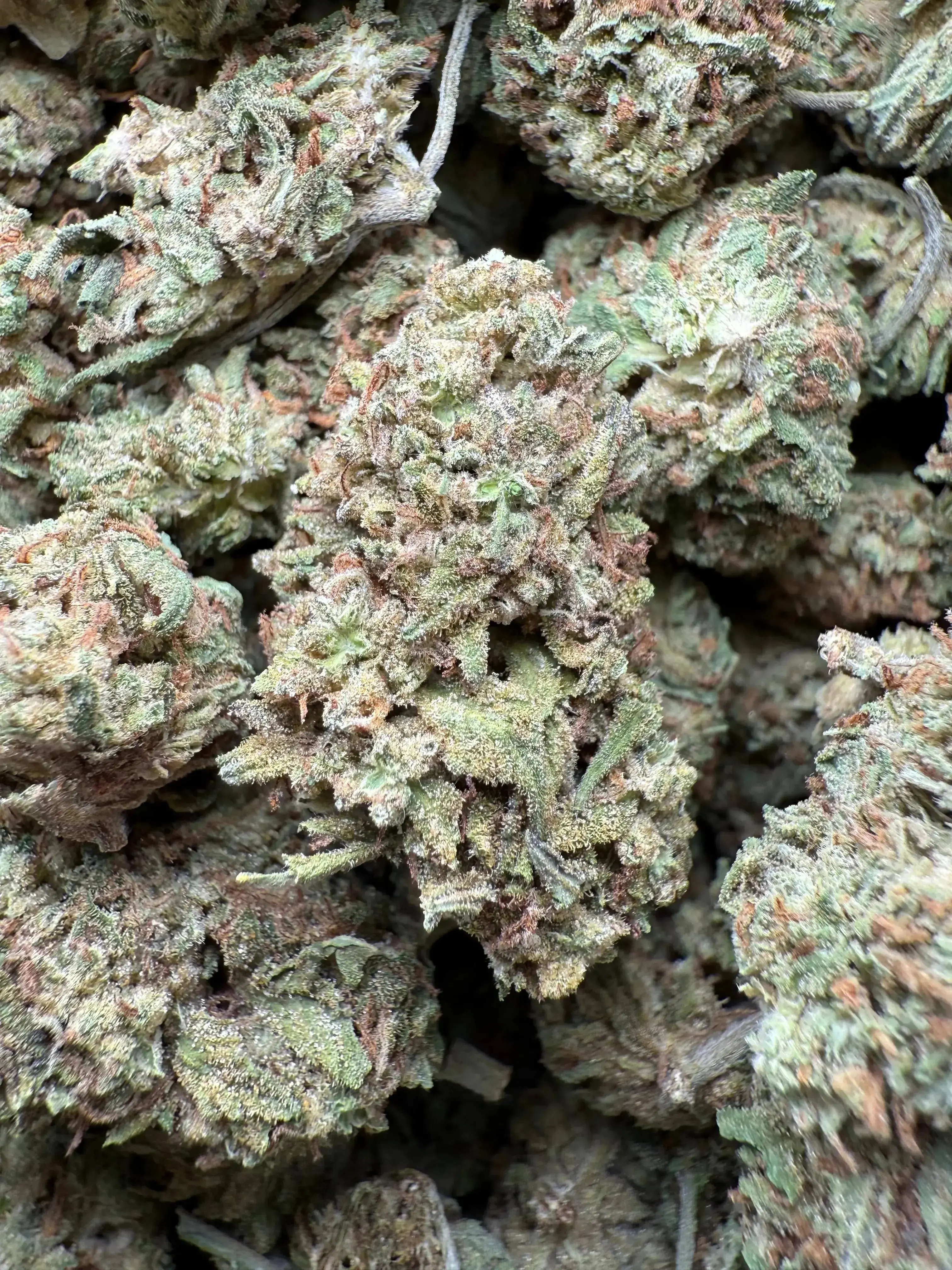 1 Pound Han Solo THCA