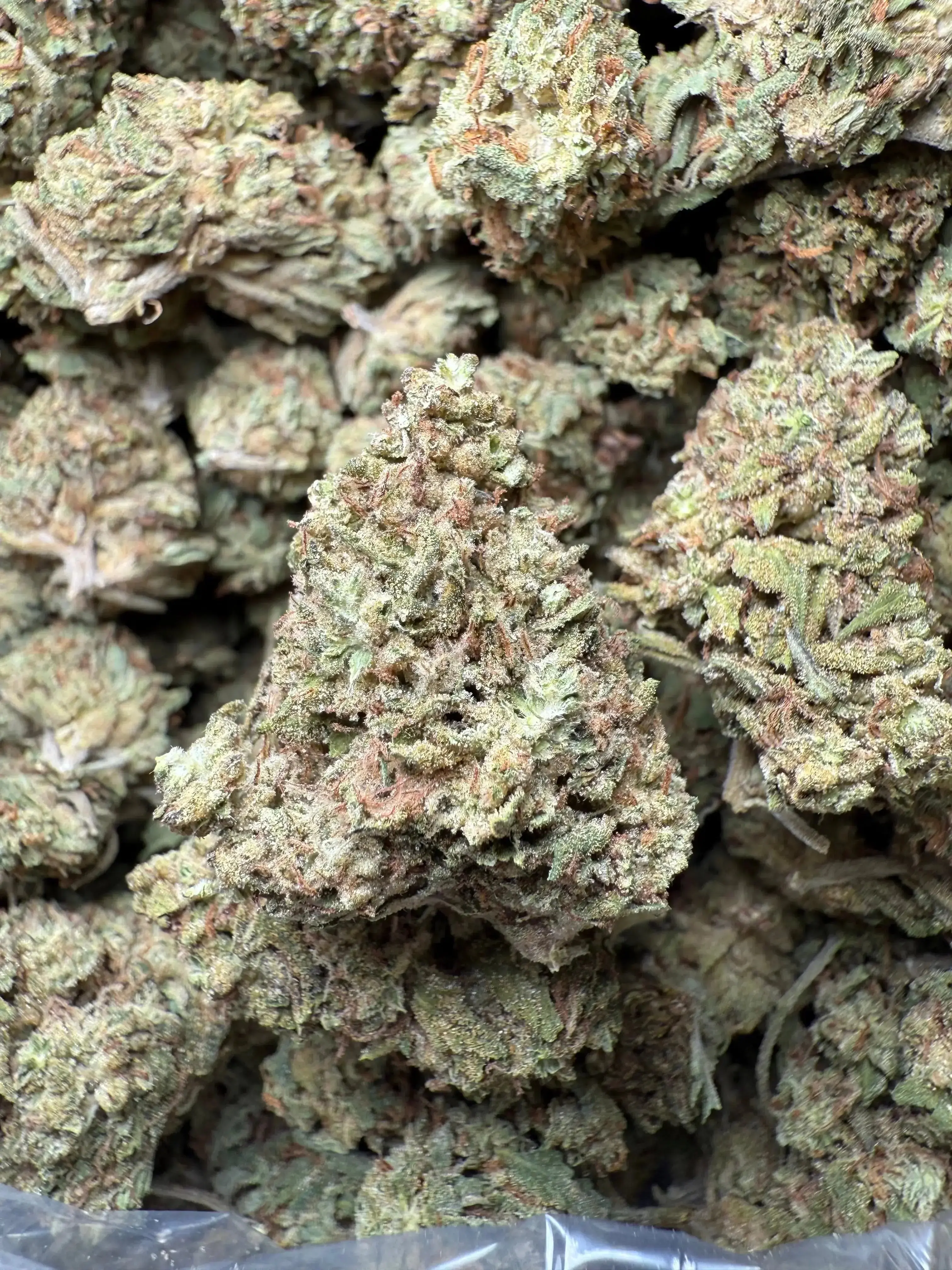 1 Pound Han Solo THCA - Image 2