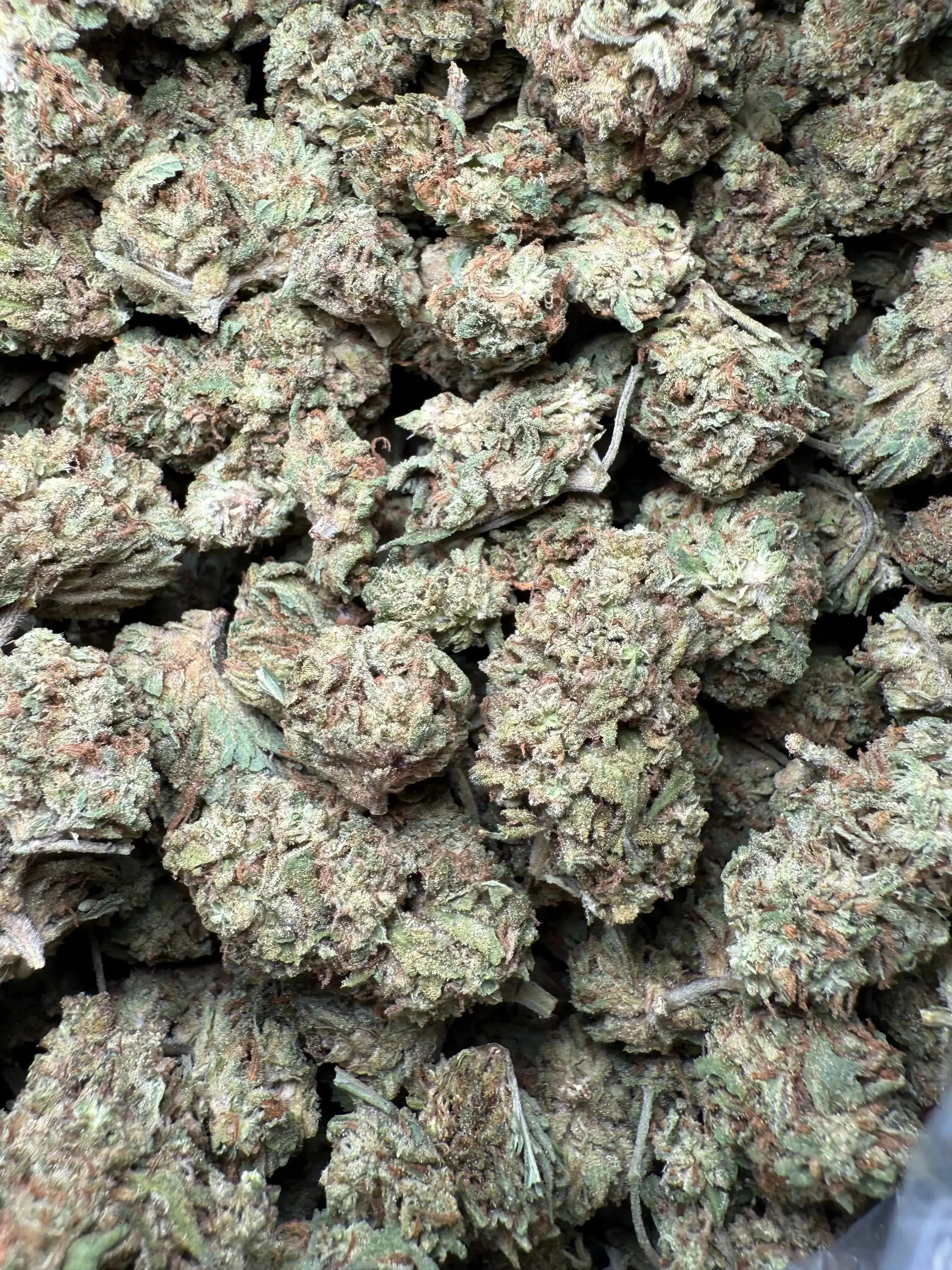 1 Pound Han Solo THCA - Image 3