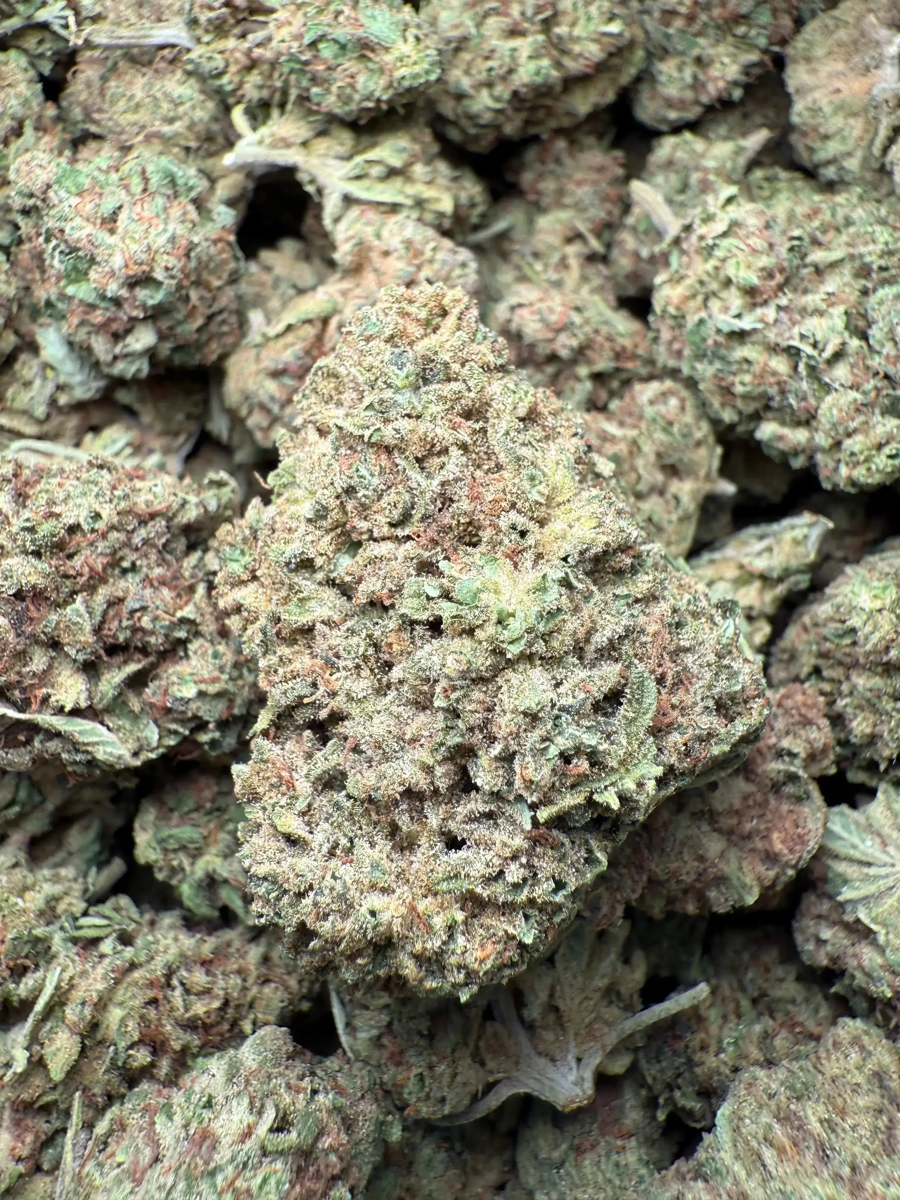 1 Pound Romulan Blueberry THCA