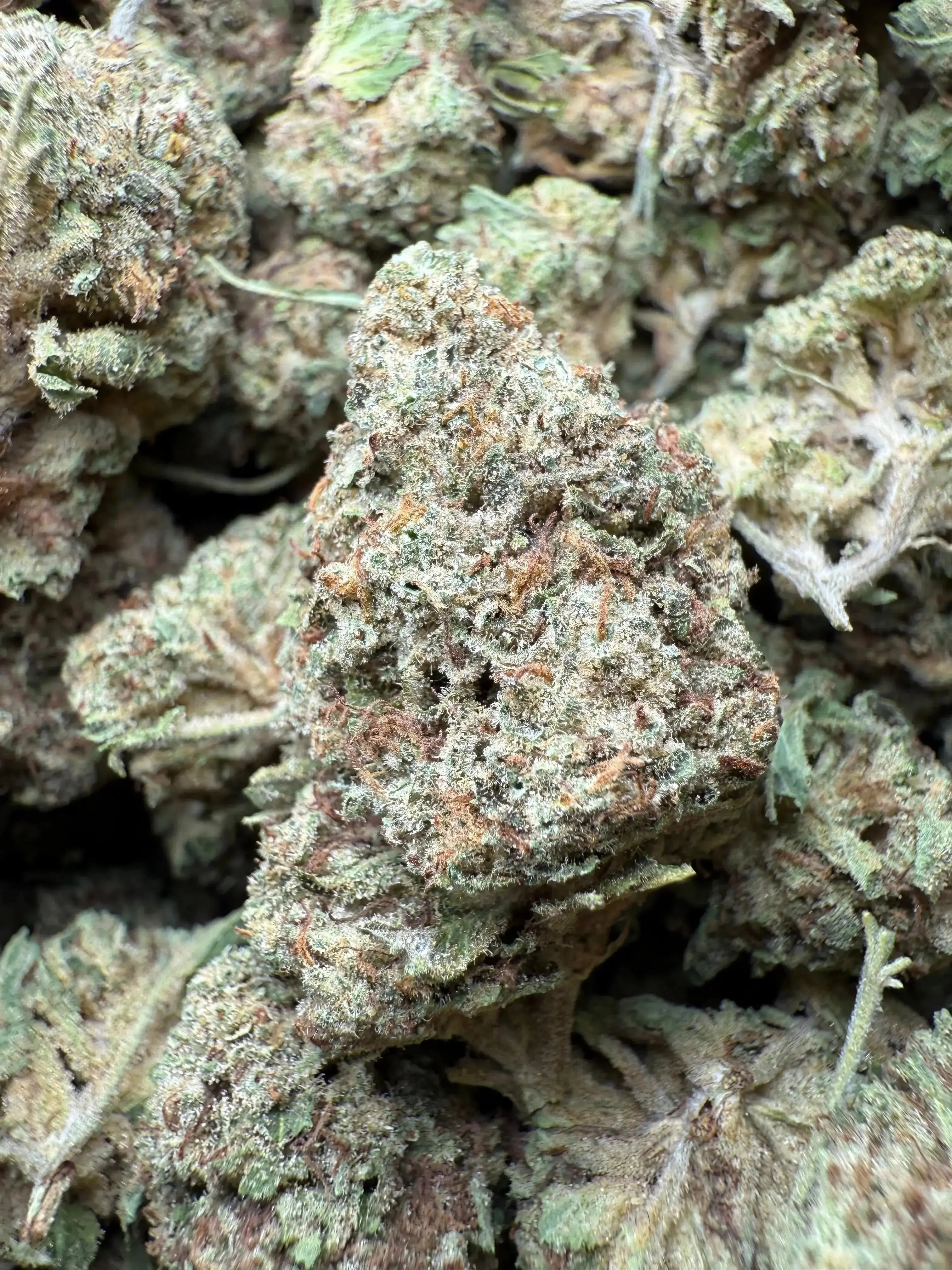 1 Pound Romulan Blueberry THCA - Image 2