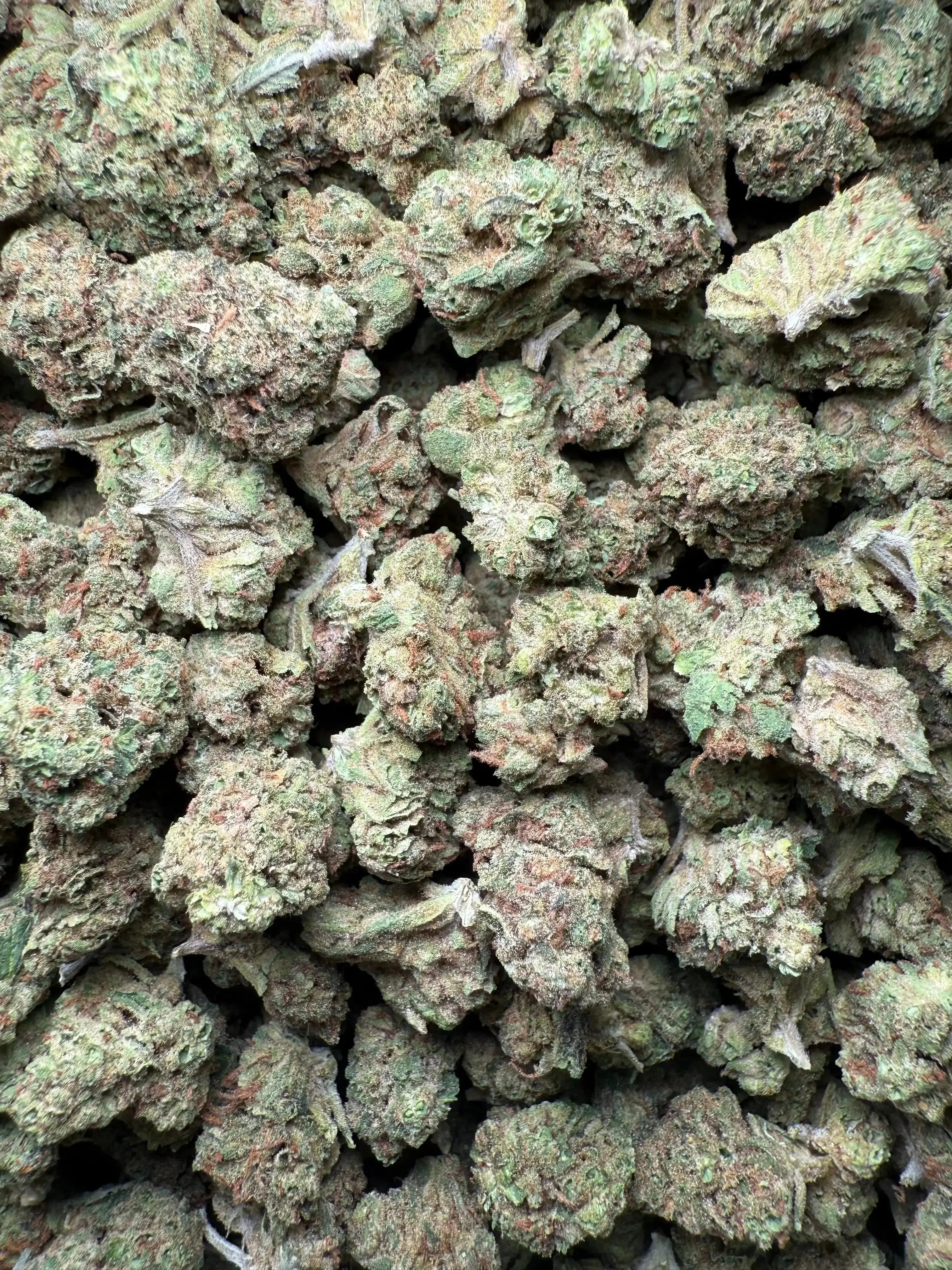 1 Pound Romulan Blueberry THCA (Small) - Image 2