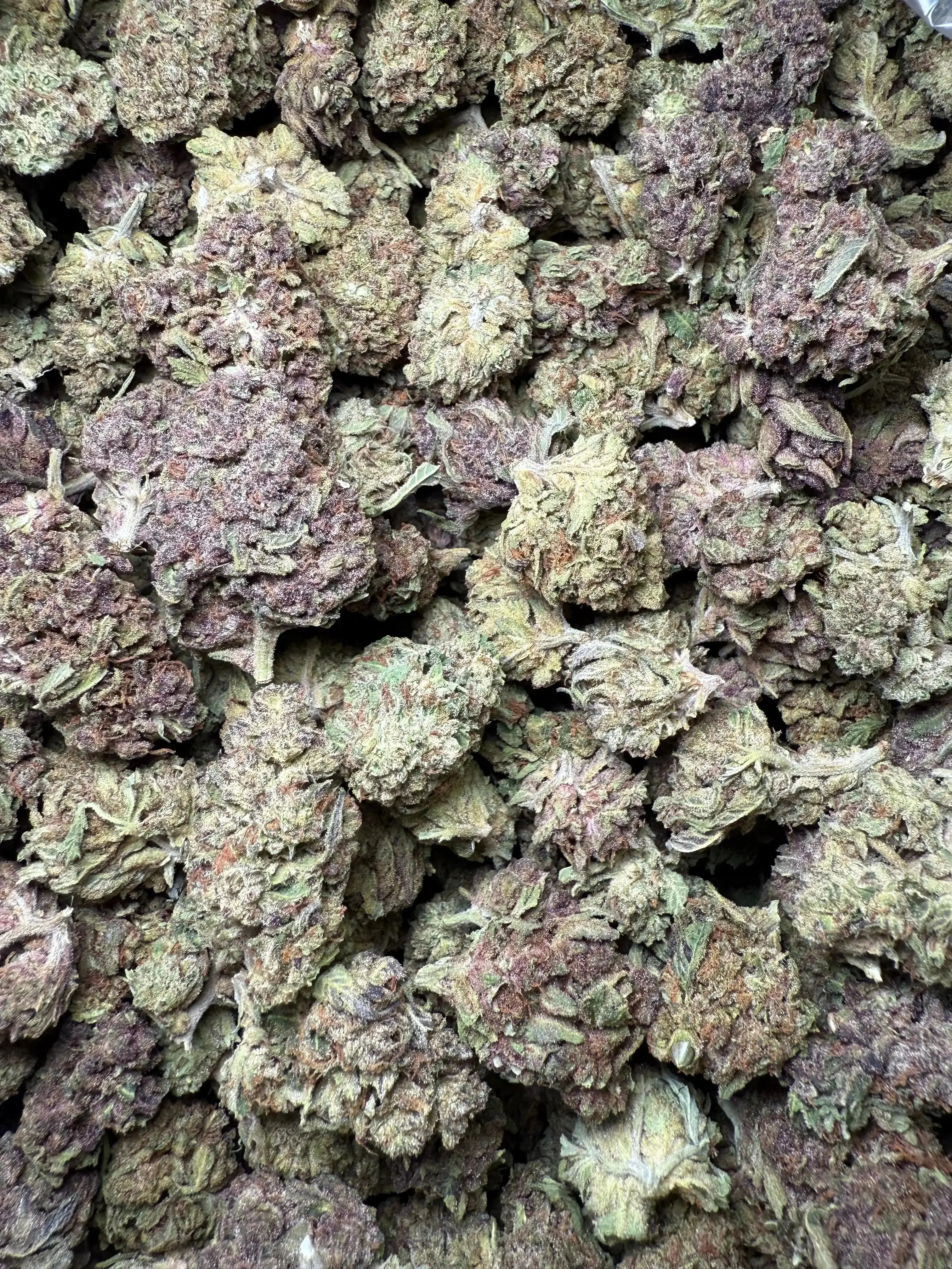 1/4 Pound Tropical Zmoothie THCA - Image 3