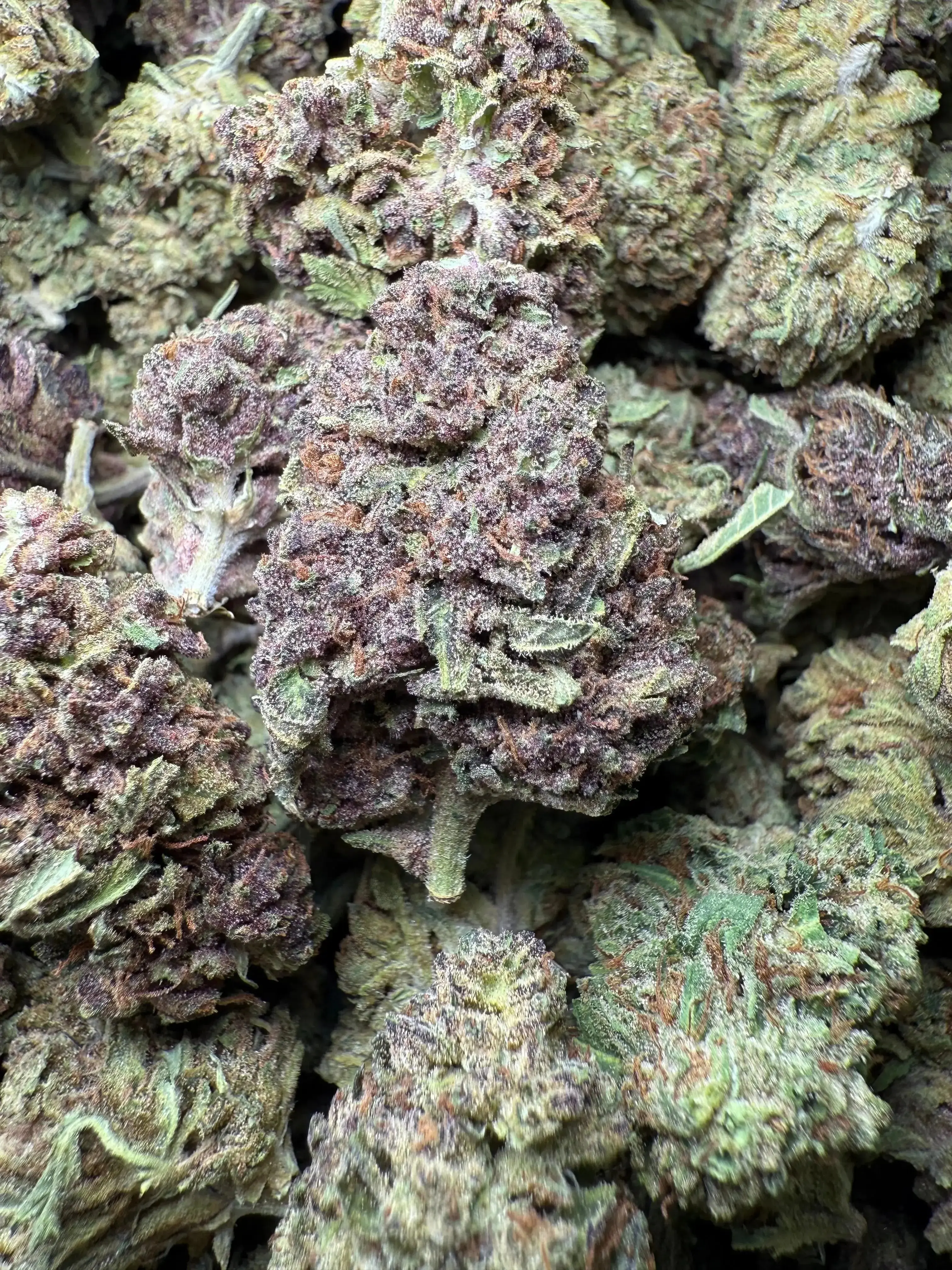 1/4 Pound Tropical Zmoothie THCA - Image 4