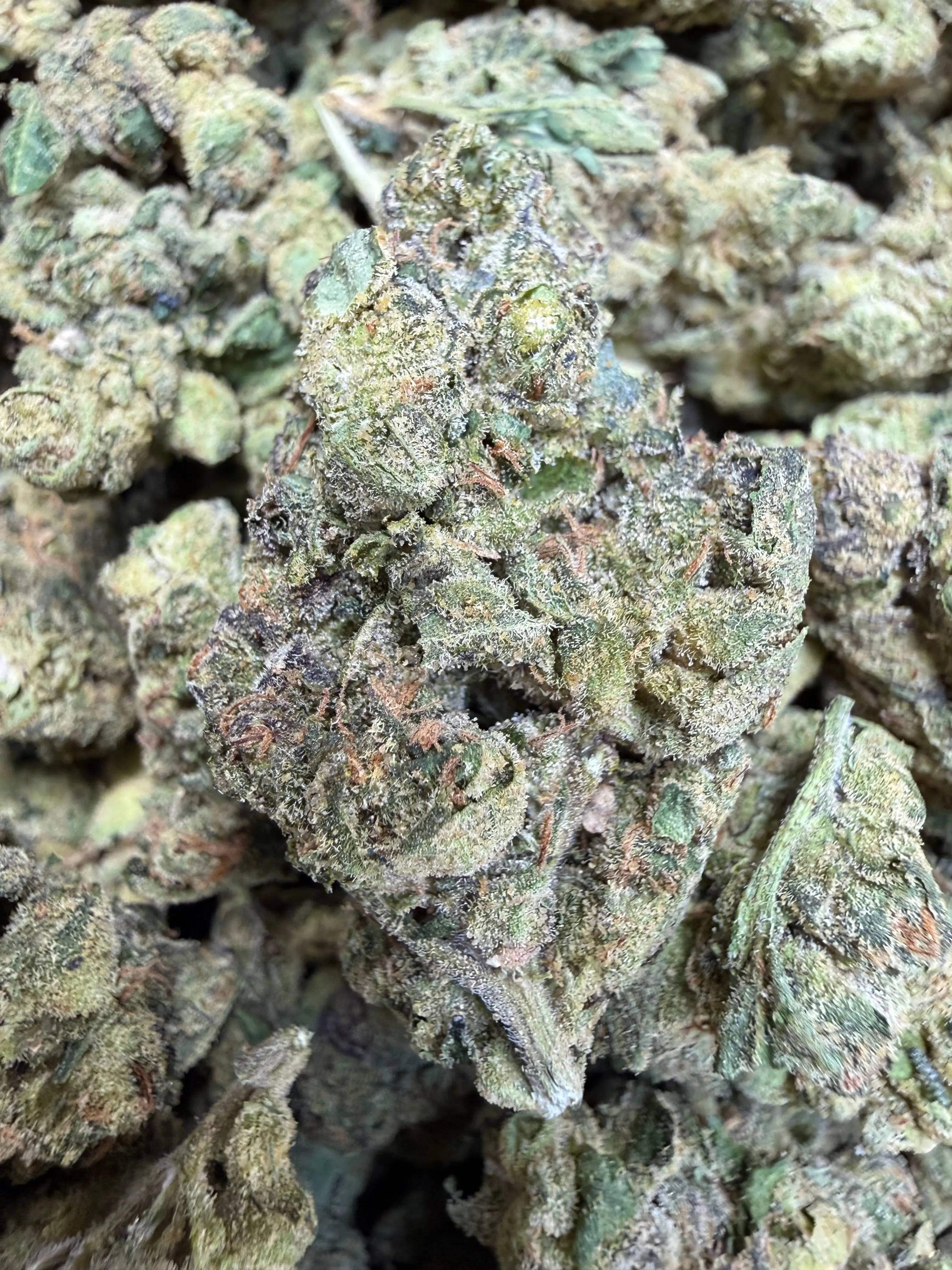 1 oz. - Chimera THCA Strain - Image 2