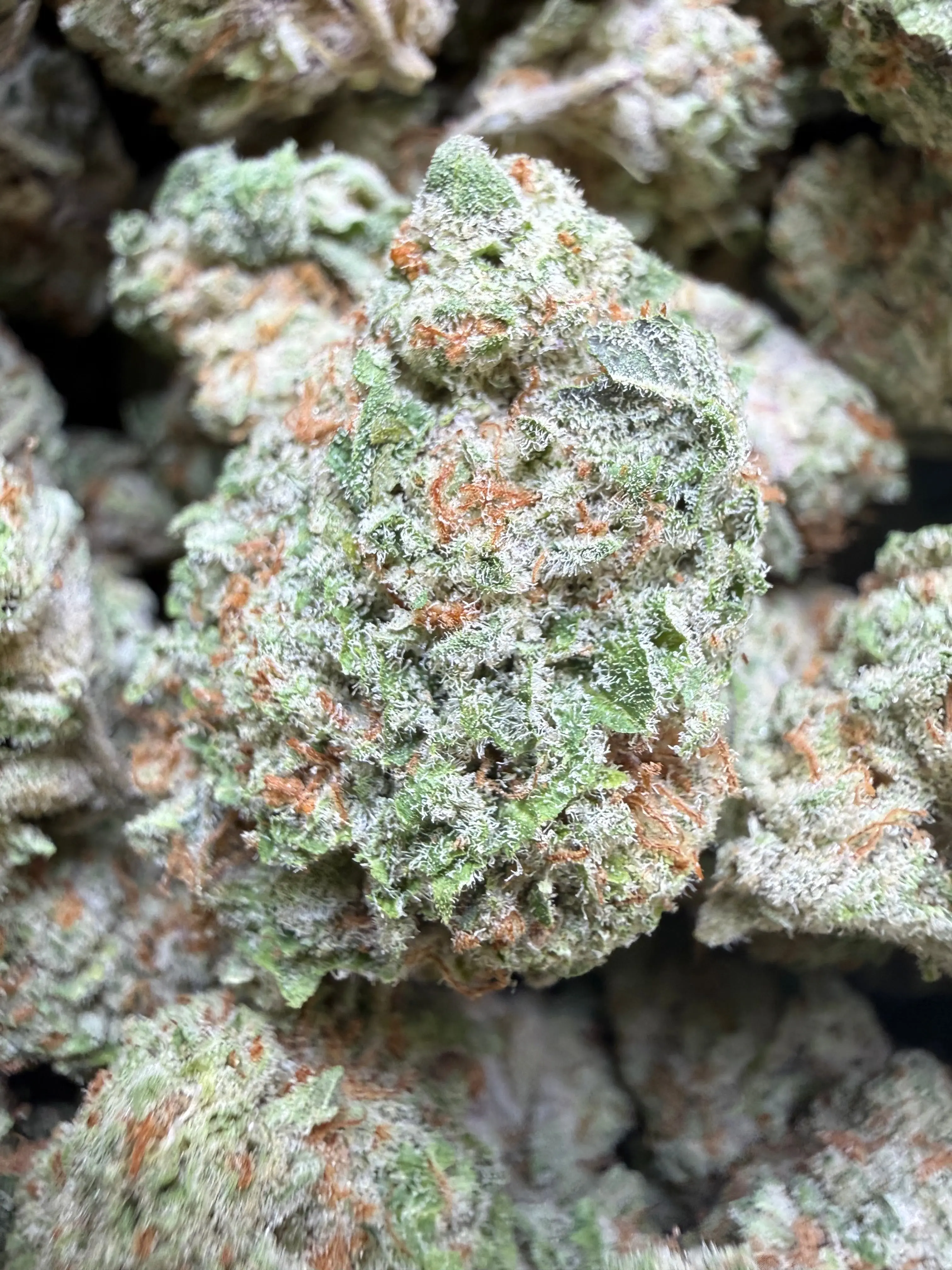 1/2 Pound Mango Tango THCA Flower - Image 3