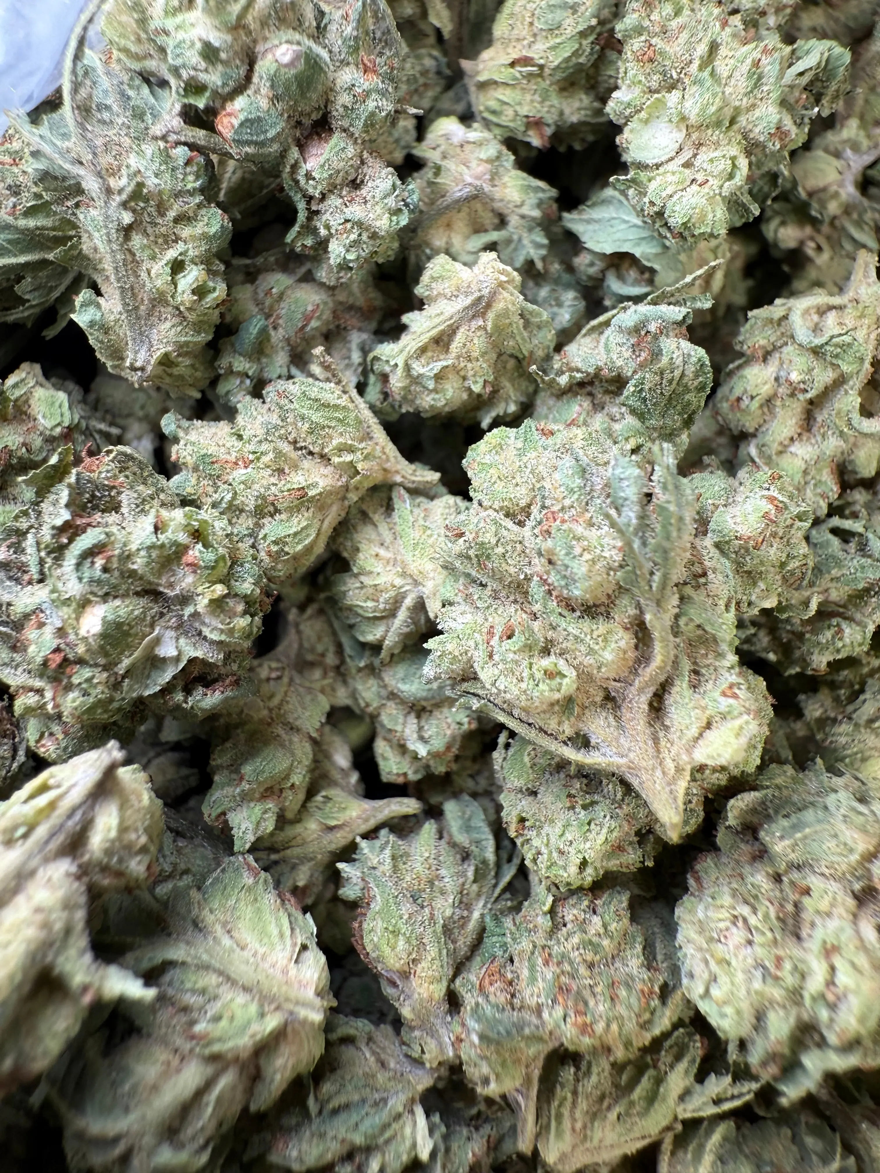 1 Pound - Chem OG (Small) - Image 2