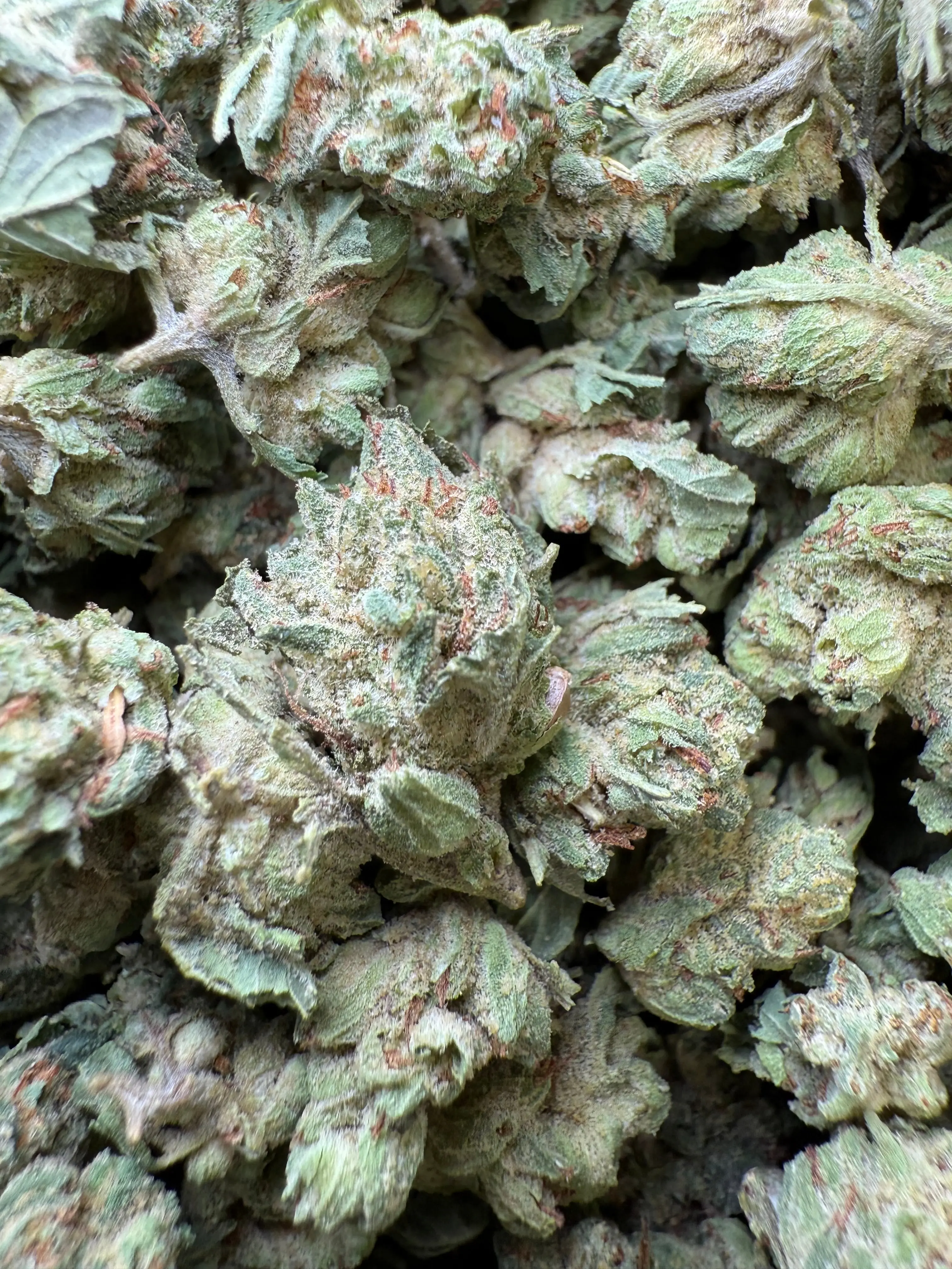 1 Pound - Chem OG (Small) - Image 5