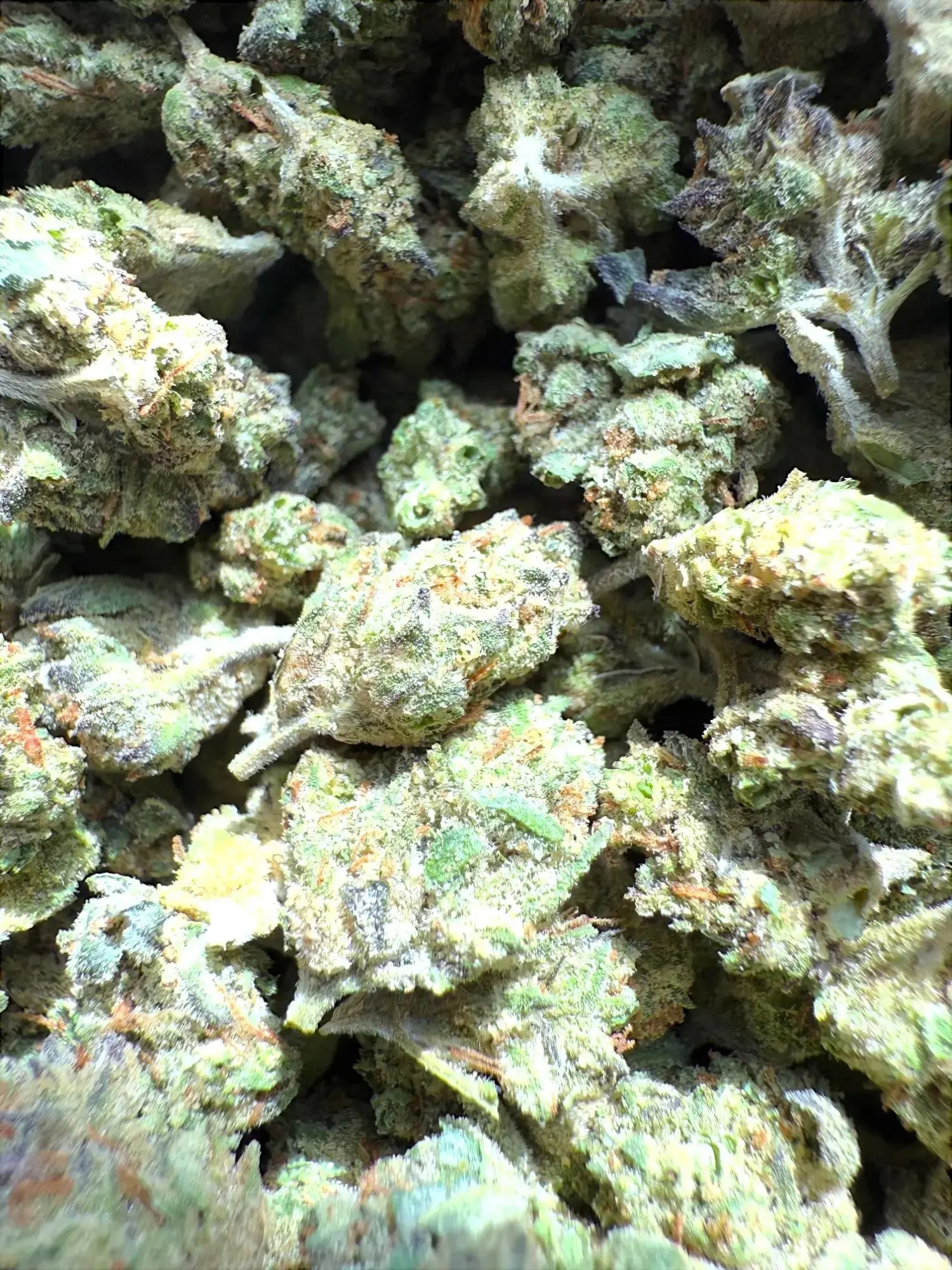 Frisco Labs -Exotic Pink Runtz THCA Strain - Image 4