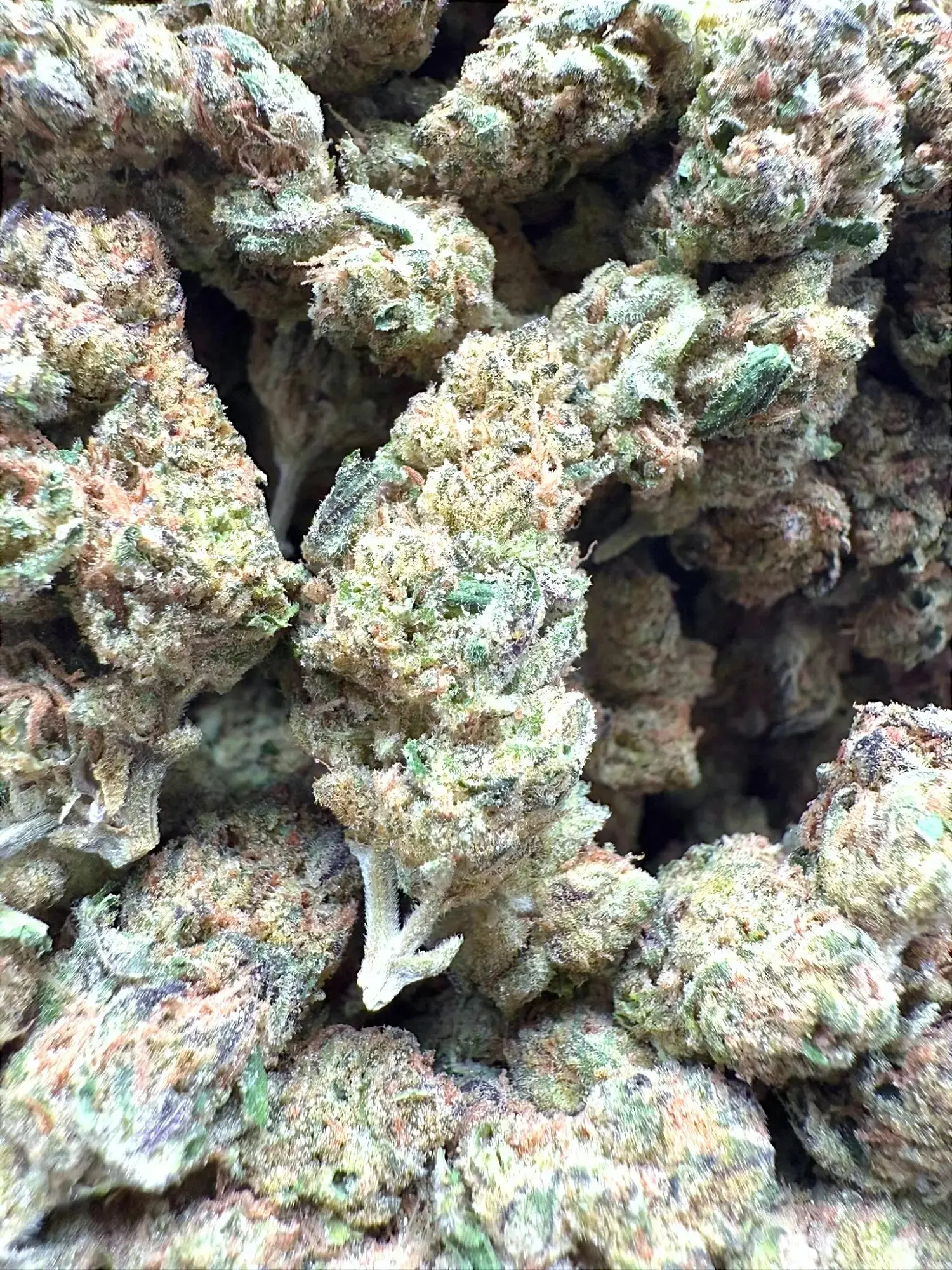 AAA Indoor Exotic - Grape Gas THCA Strain - Image 3