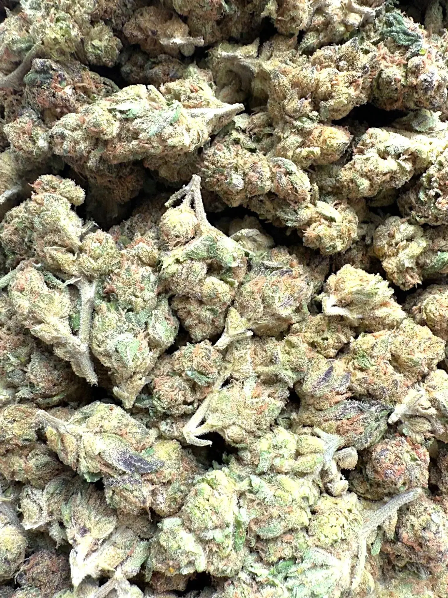 AAA Indoor Exotic - Grape Gas THCA Strain - Image 4