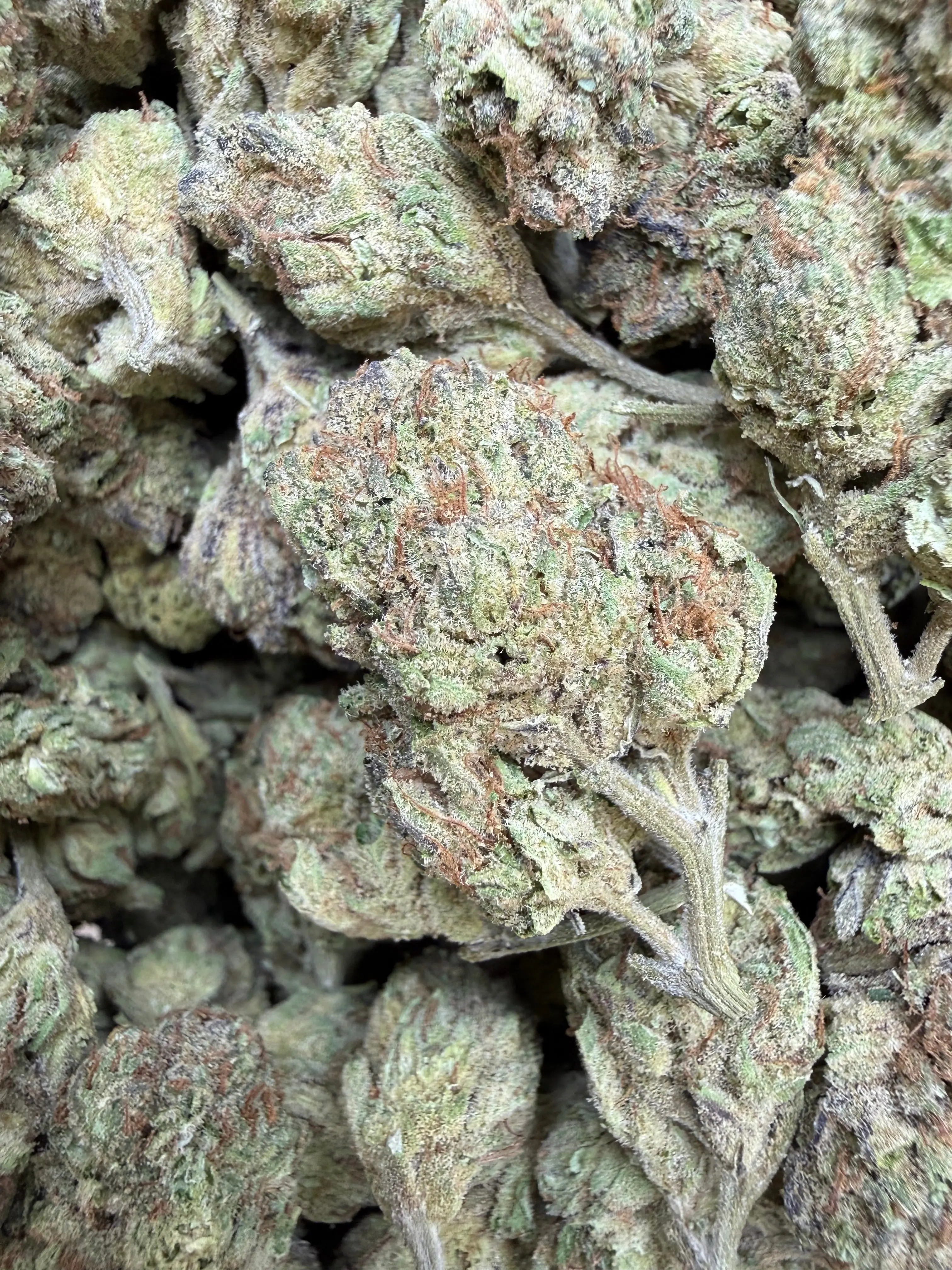 1 Pound - Abuela THCA Flower - Image 2