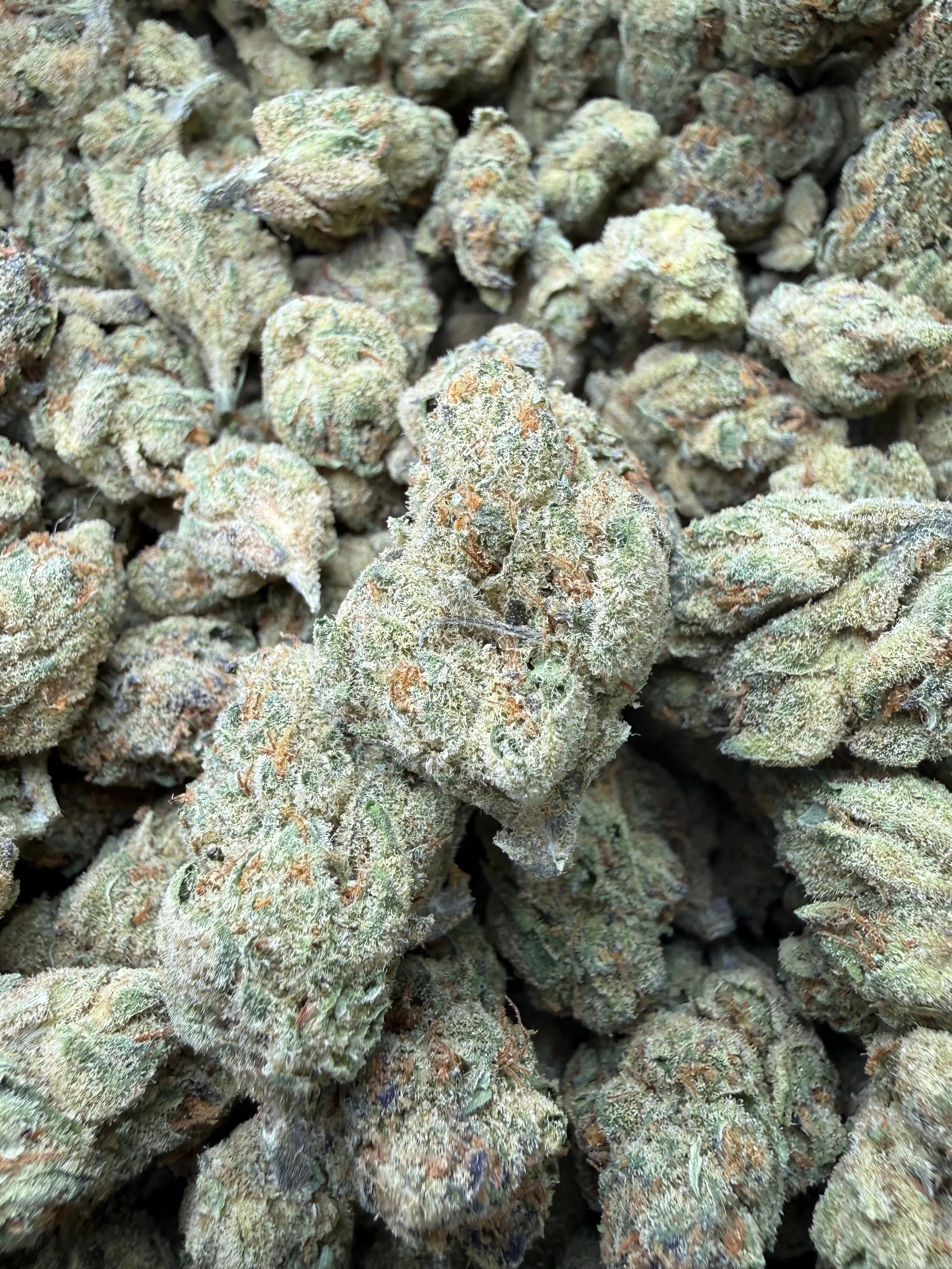 1 Pound - Blue Dream THCA Strain - Image 2