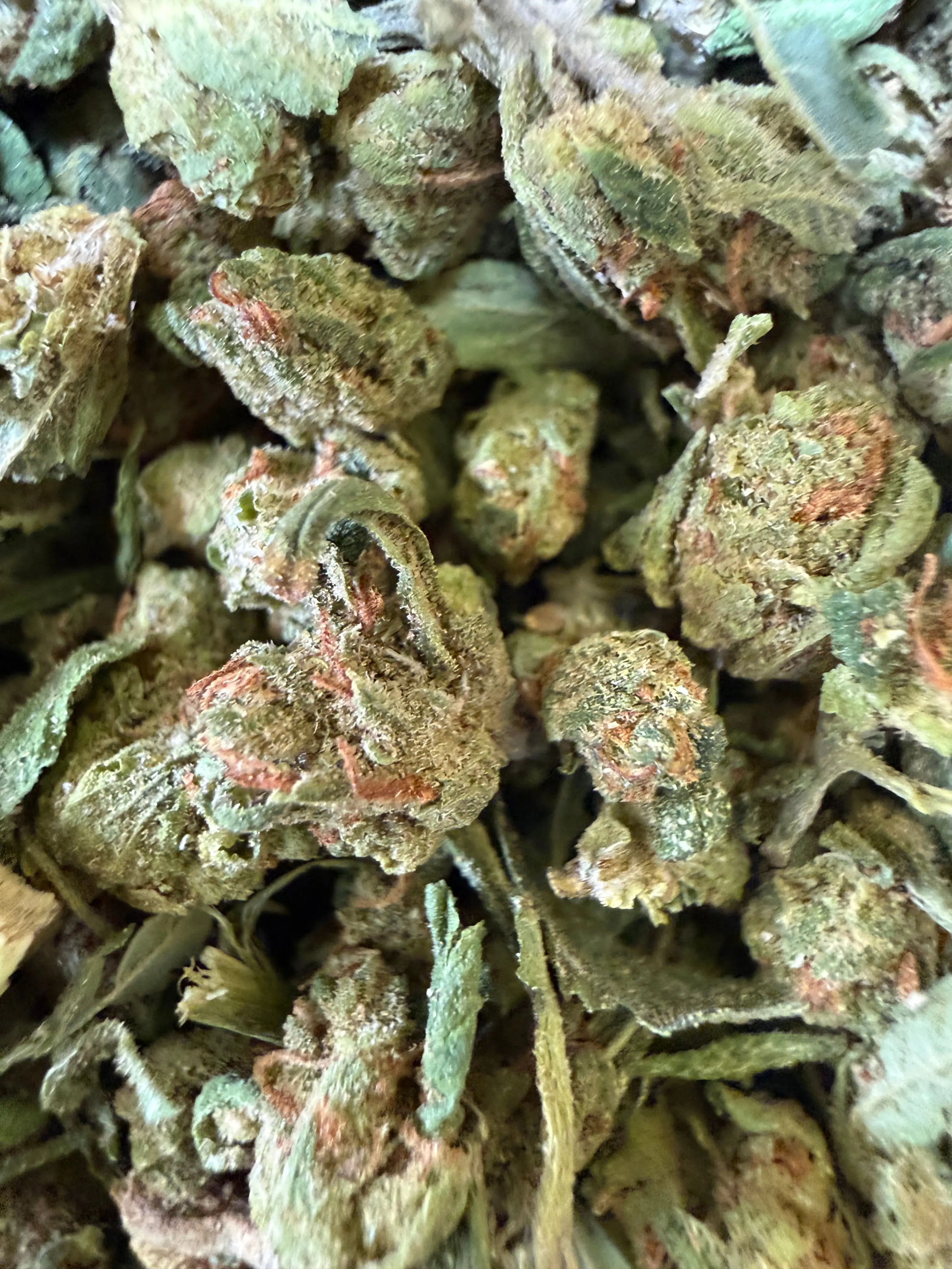 1 Pound - Blue Dream THCA Strain (Micro)