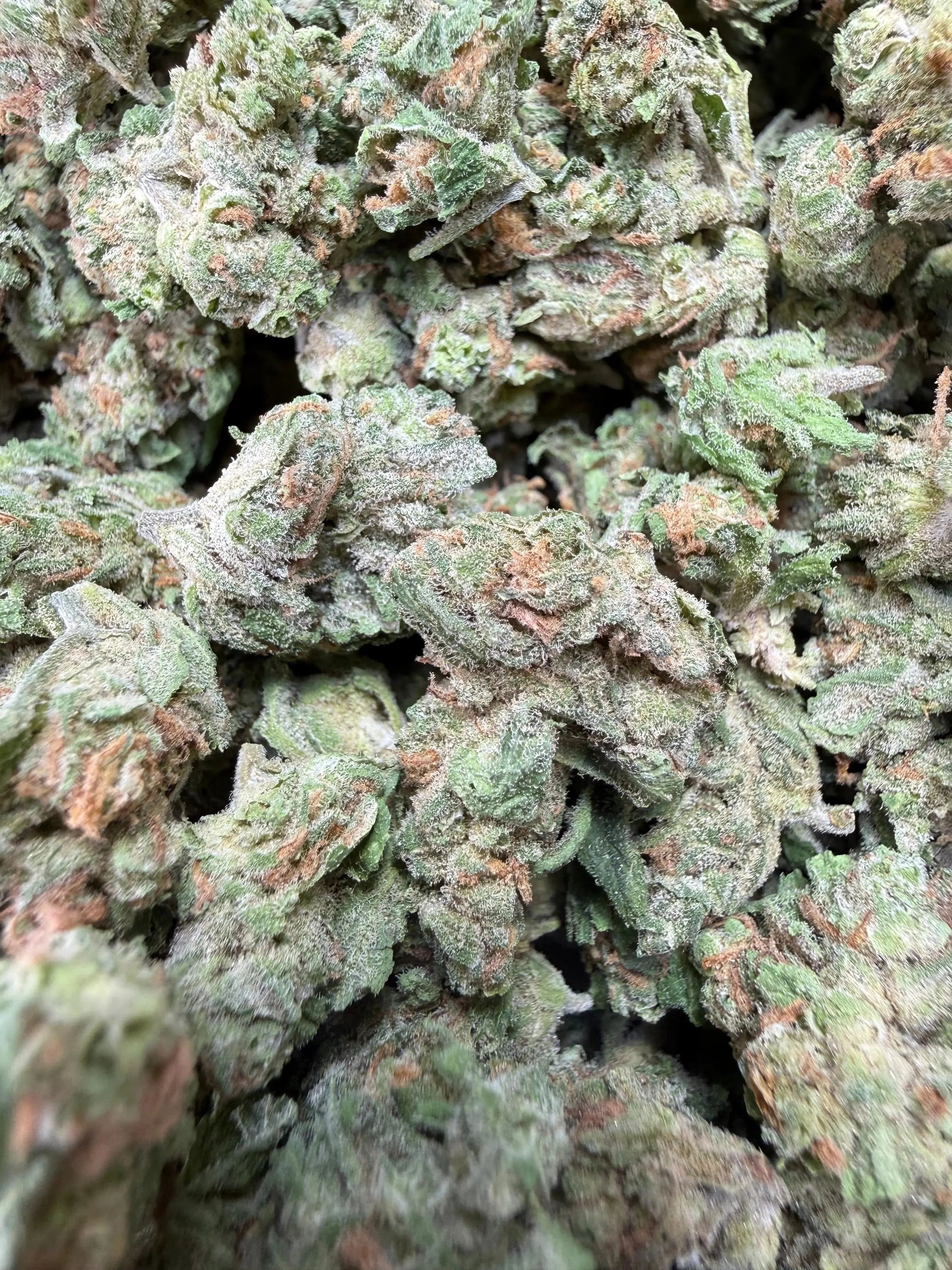1 Pound -  Blue Dream THCA Strain (Small/Micro) - Image 2