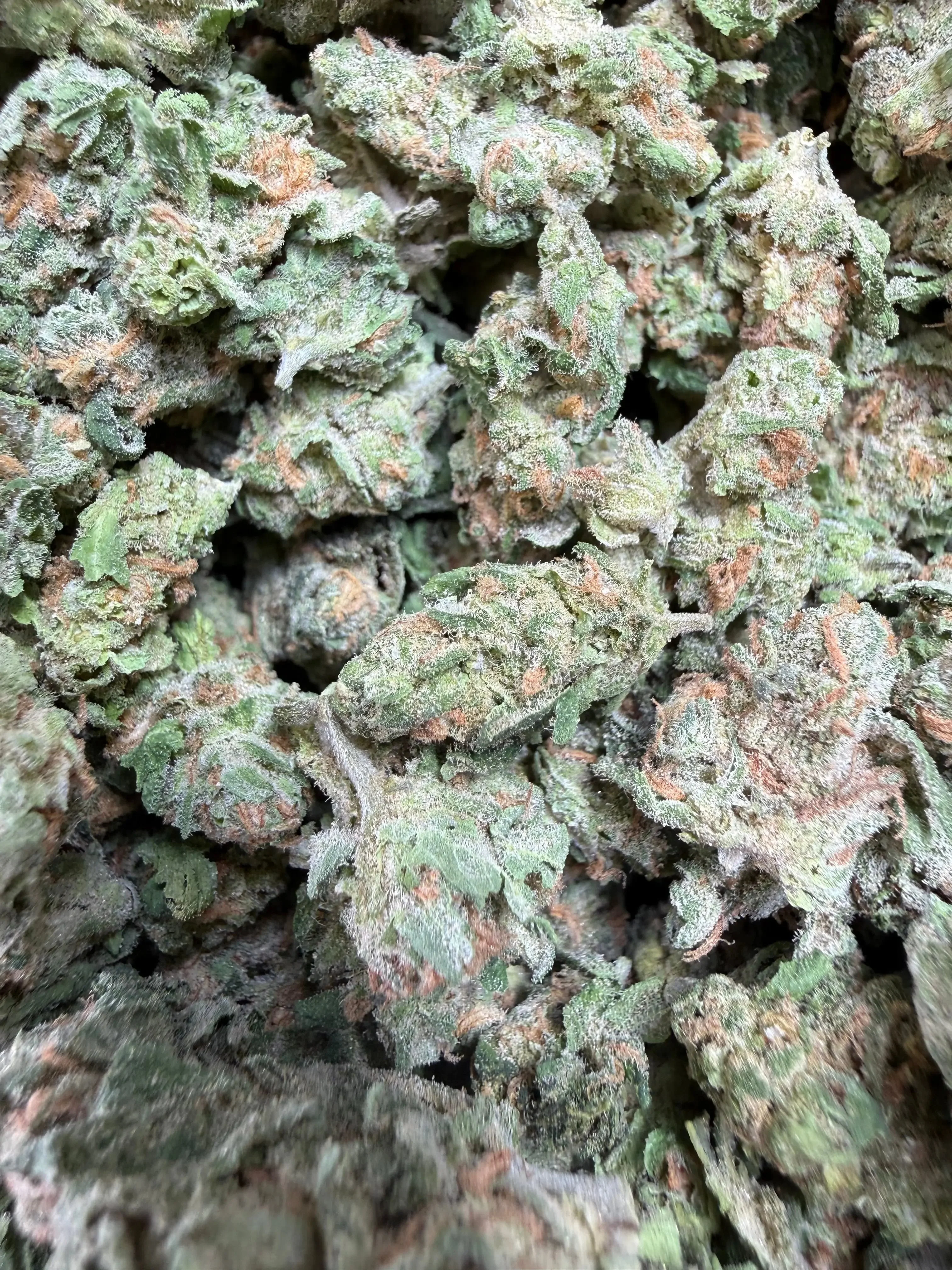 1 Pound -  Blue Dream THCA Strain (Small/Micro) - Image 3
