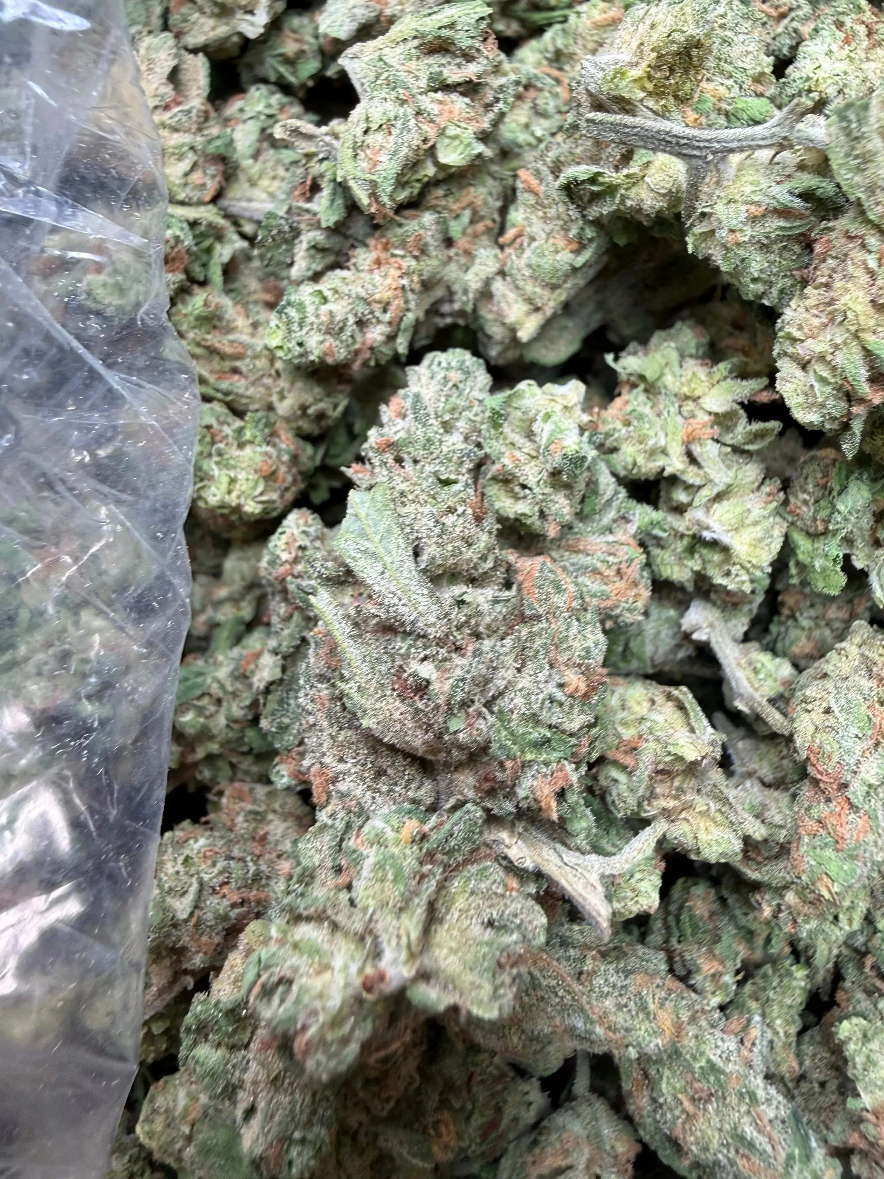 1 Pound -  Blue Dream THCA Strain (Small/Micro) - Image 4