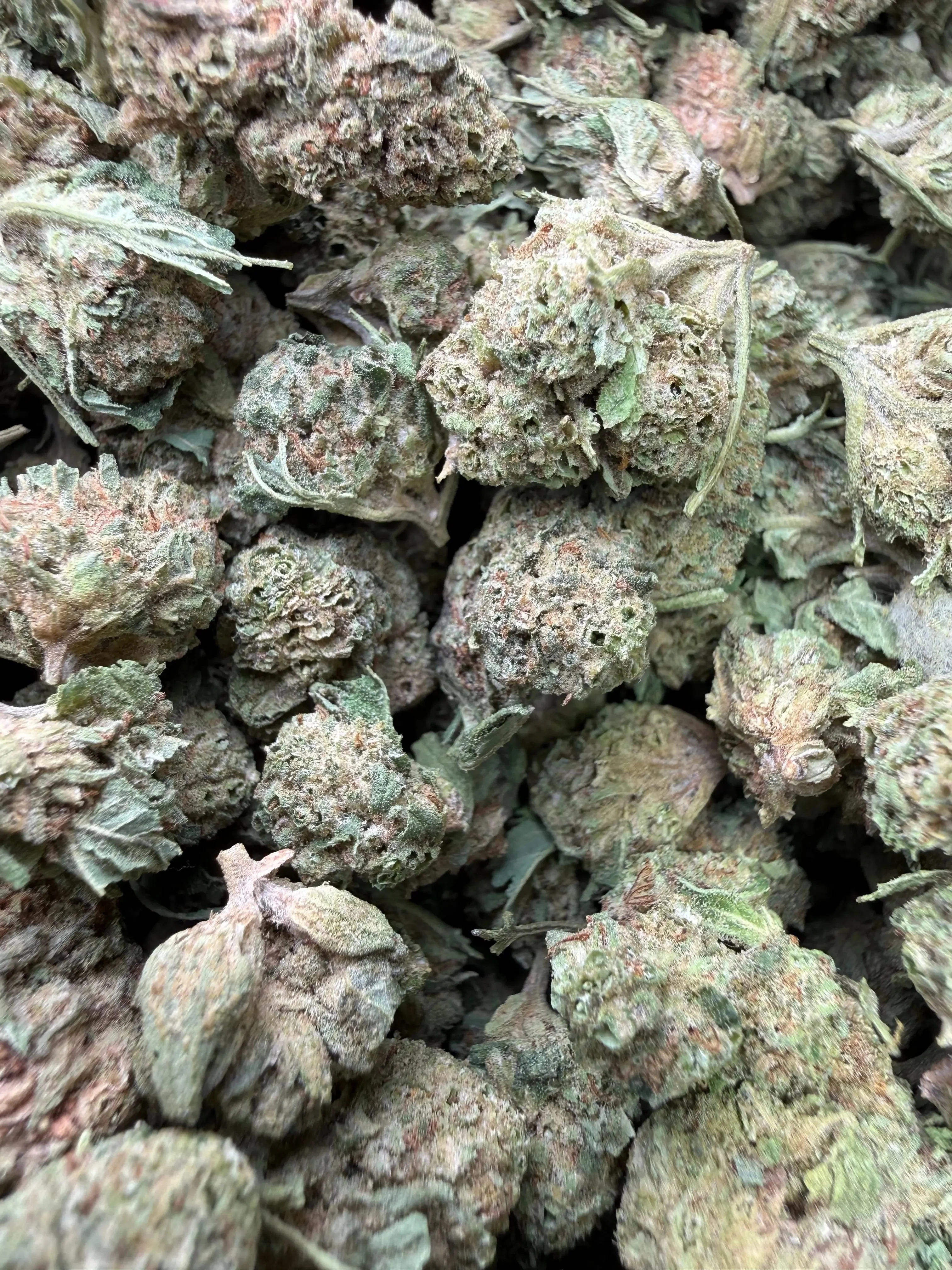 1 Pound - Cali Cartel THCA Strain (Smalls) - Image 5